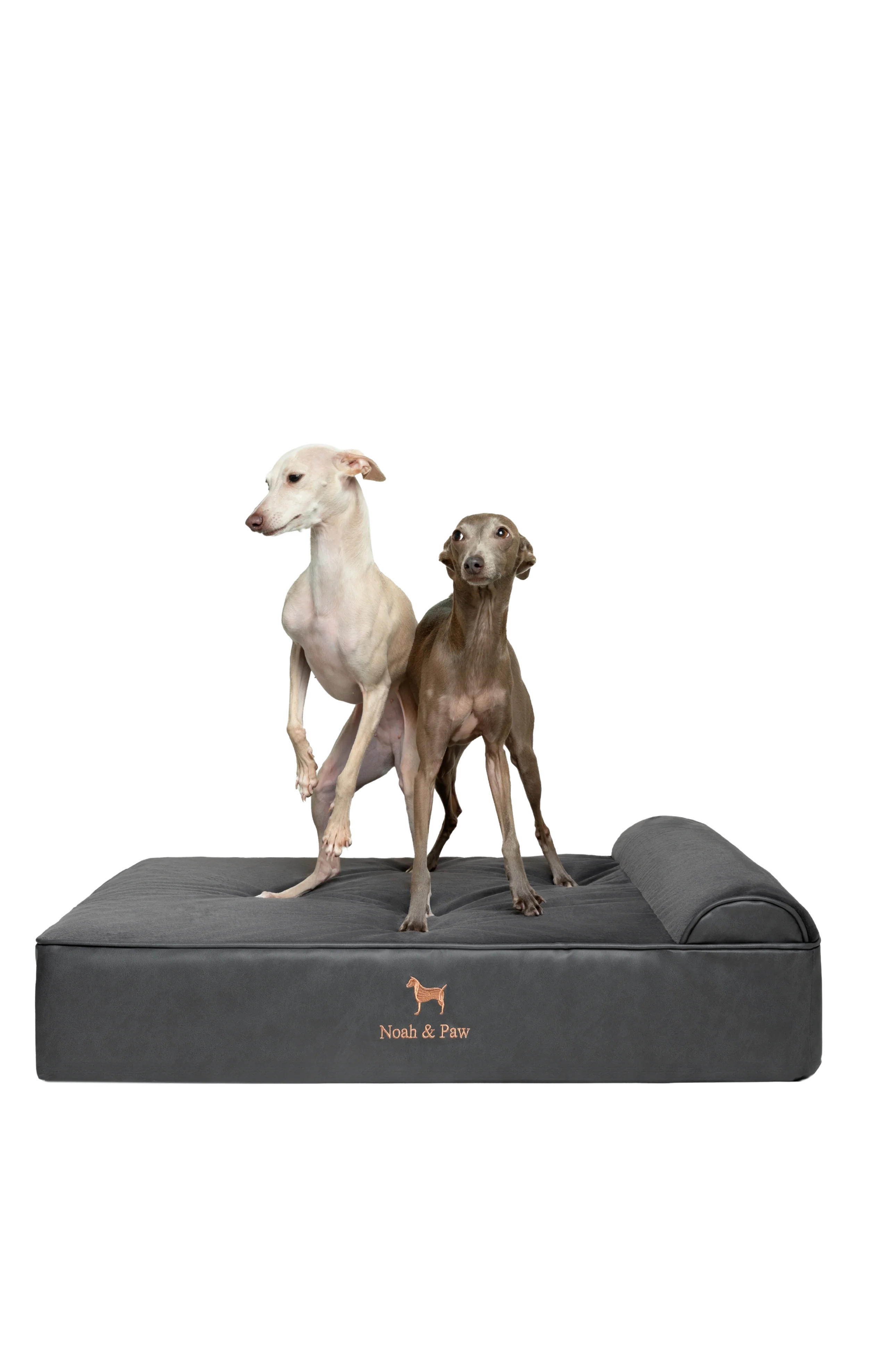 Orthopedic Faux Leather Pet Bed Classic Style - Black - L