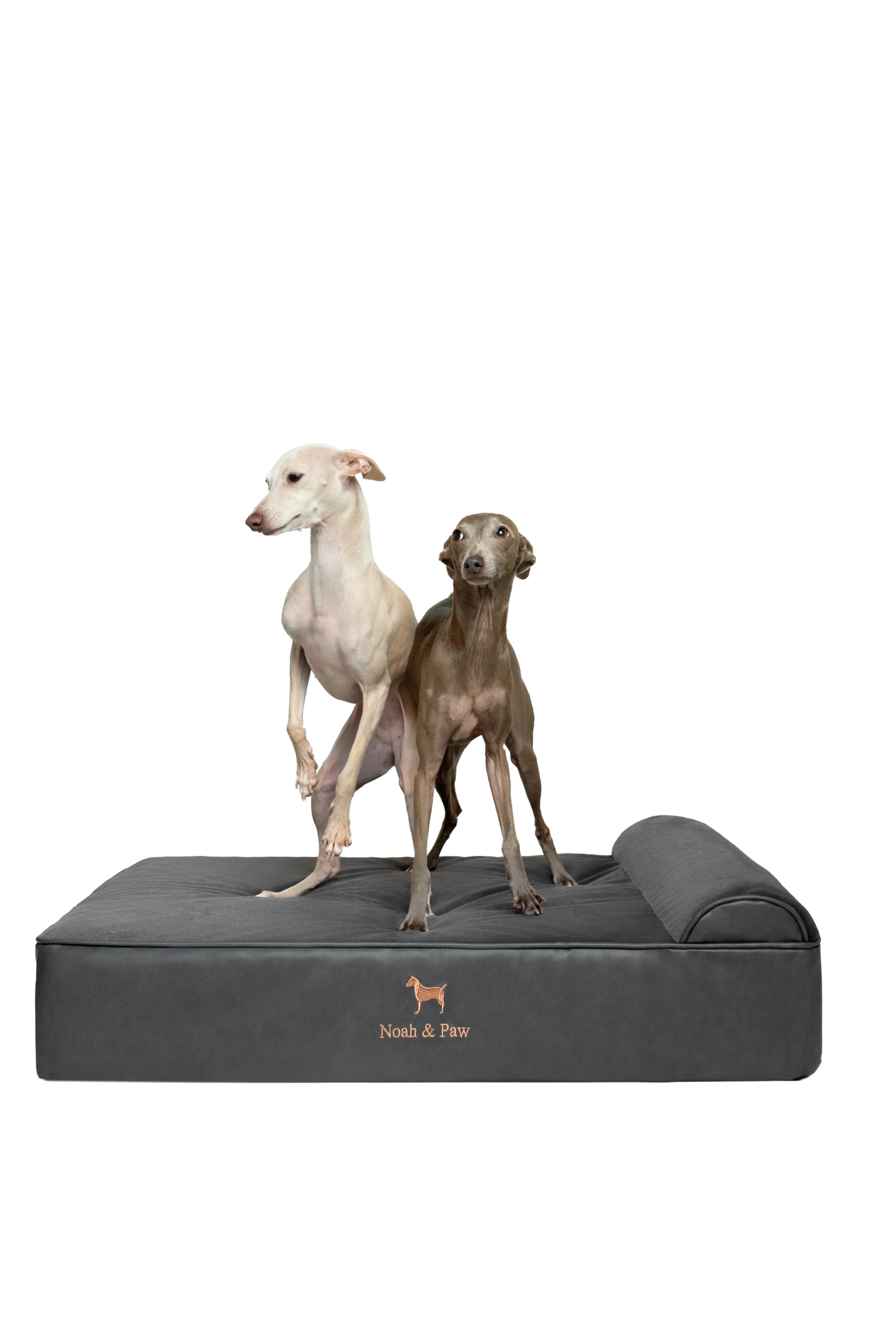 Orthopedic Faux Leather Pet Bed Classic Style - Black - L