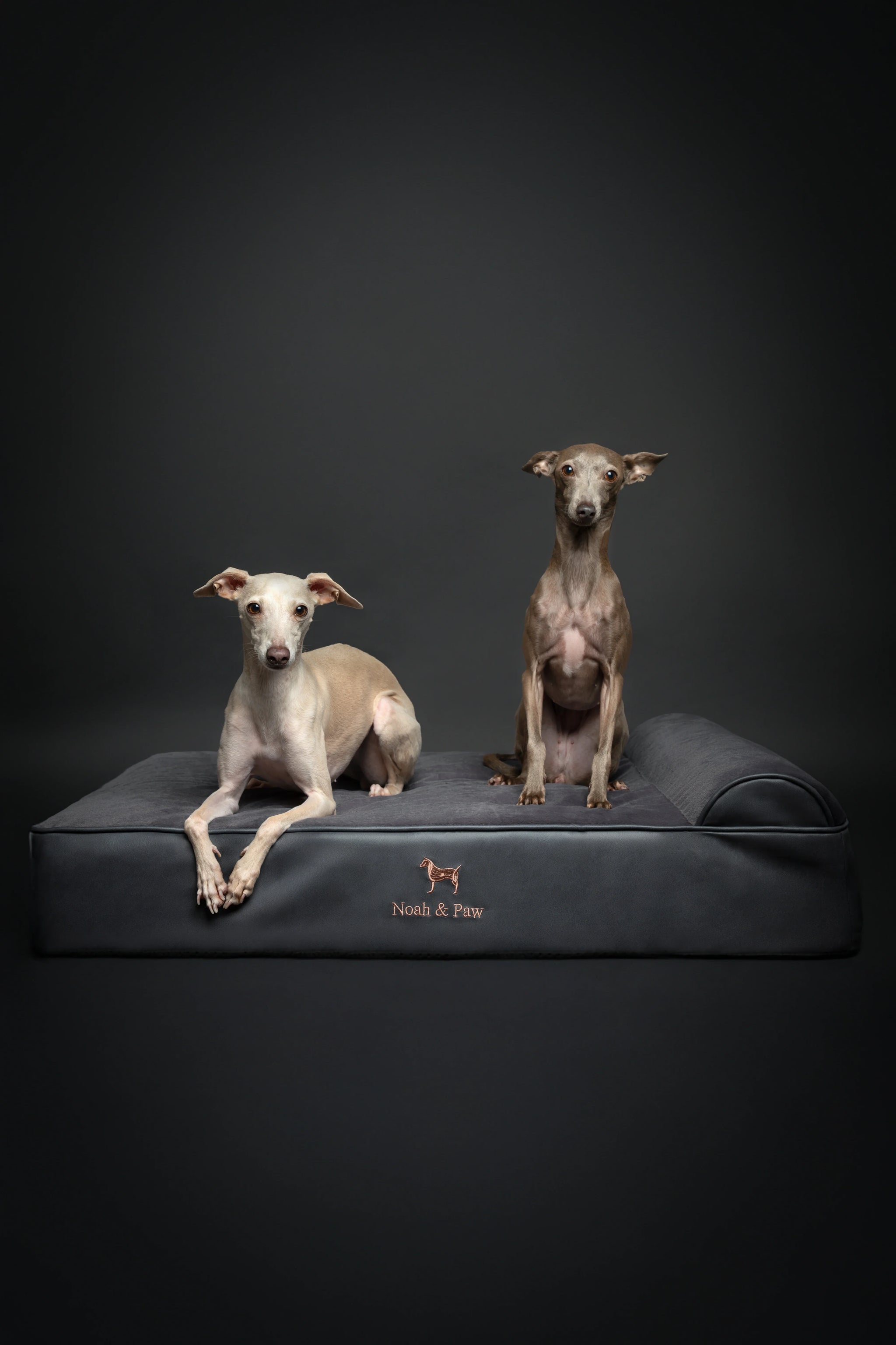 Faux Leather, Orthopedic Pet Bed, Eggshell Memory Foam, Infused with Cooling Gel, Classic Style