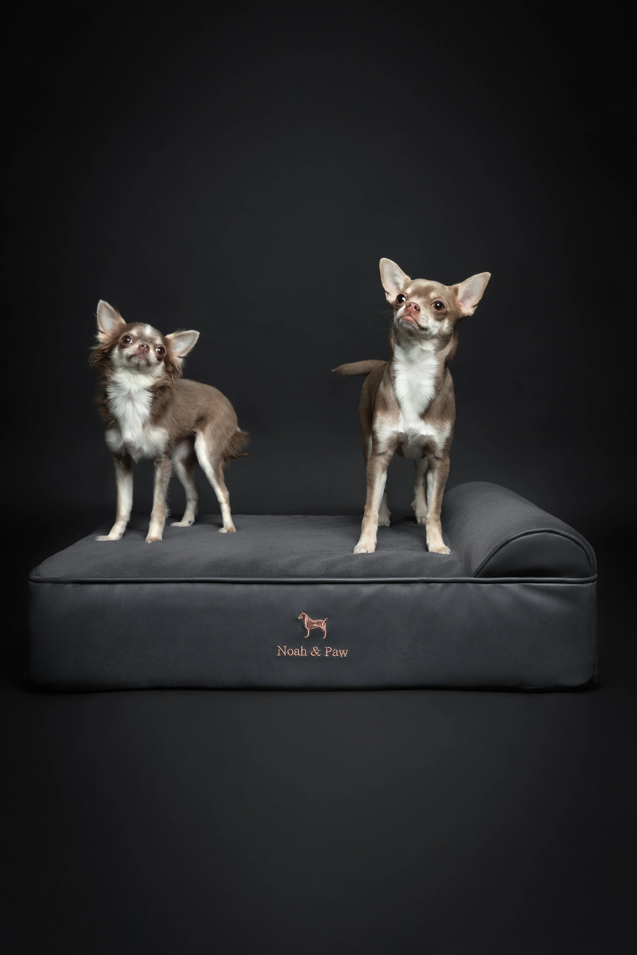 Faux Leather, Orthopedic Pet Bed, Eggshell Memory Foam, Infused with Cooling Gel, Classic Style