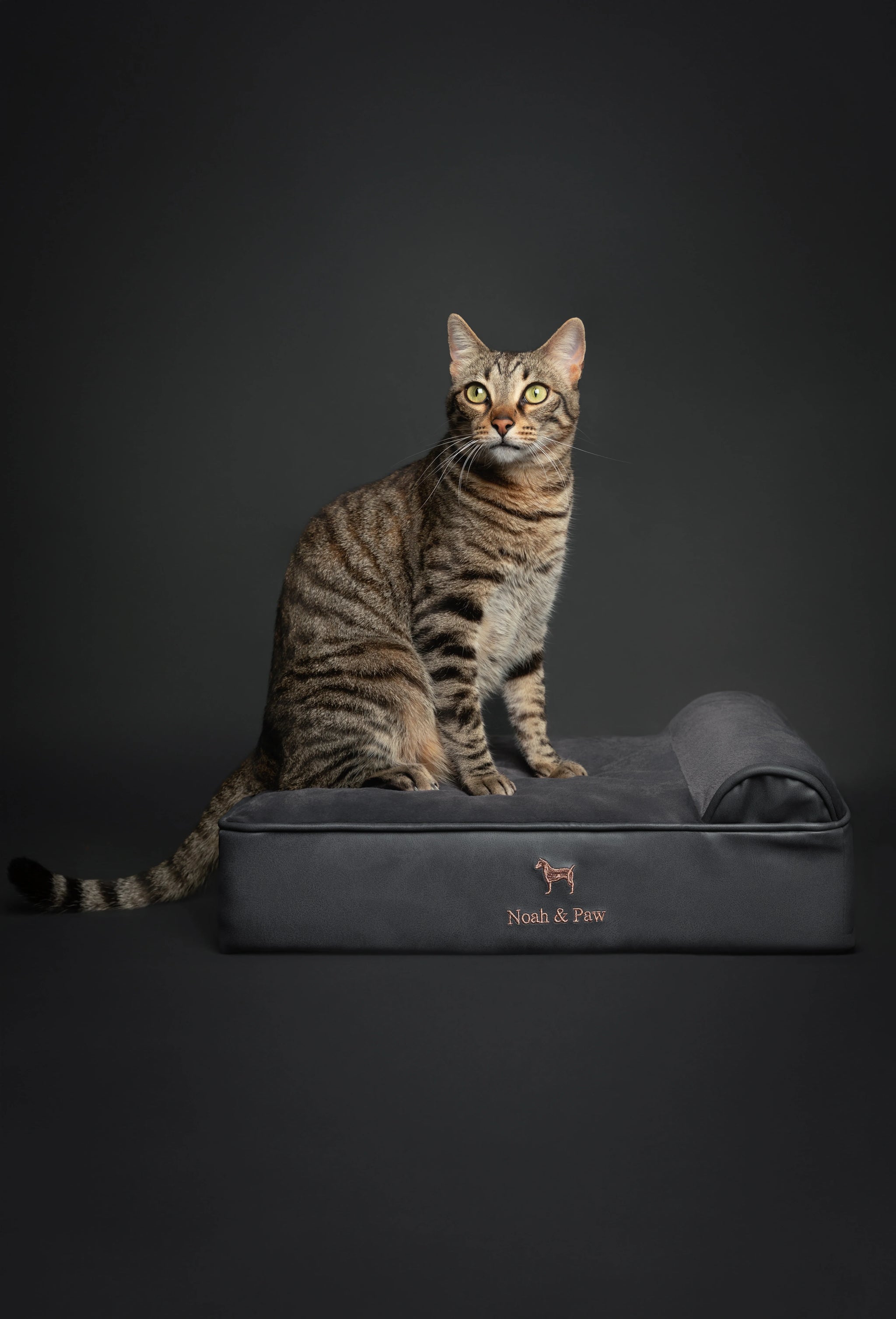 Faux Leather, Orthopedic Pet Bed, Eggshell Memory Foam, Infused with Cooling Gel, Classic Style