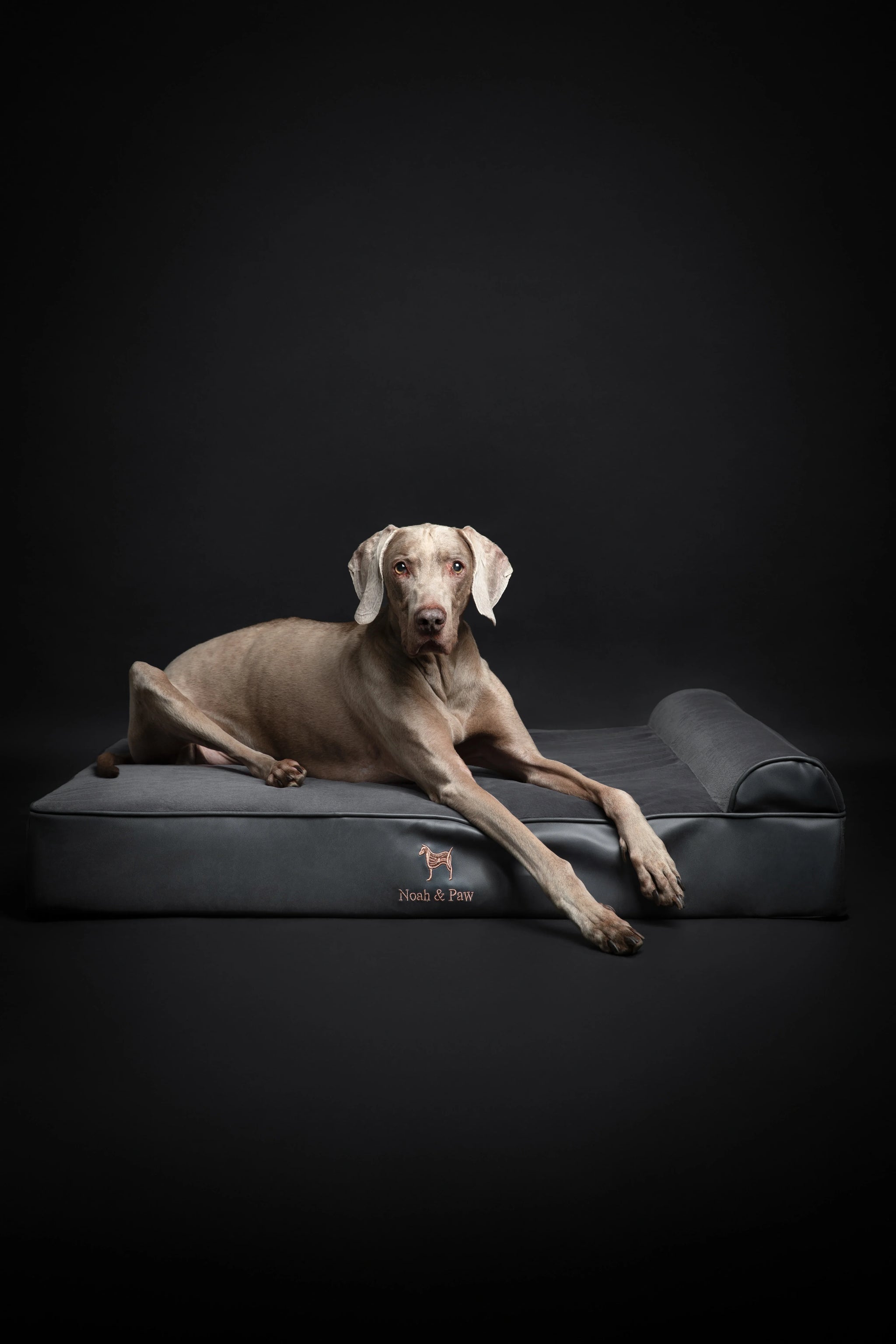 Faux Leather, Orthopedic Pet Bed, Eggshell Memory Foam, Infused with Cooling Gel, Classic Style