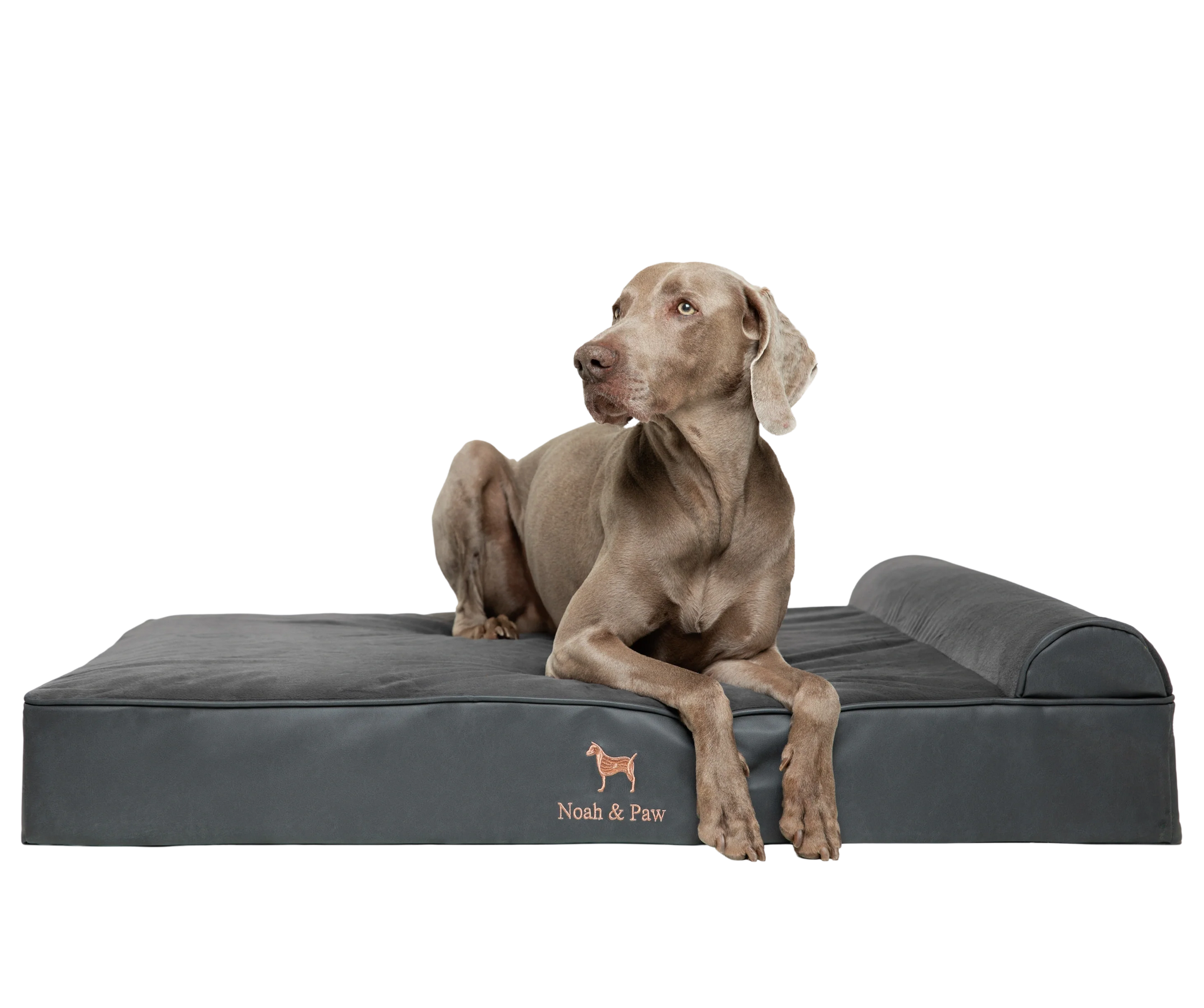 Orthopedic Faux Leather Pet Bed Classic Style - Black - XL