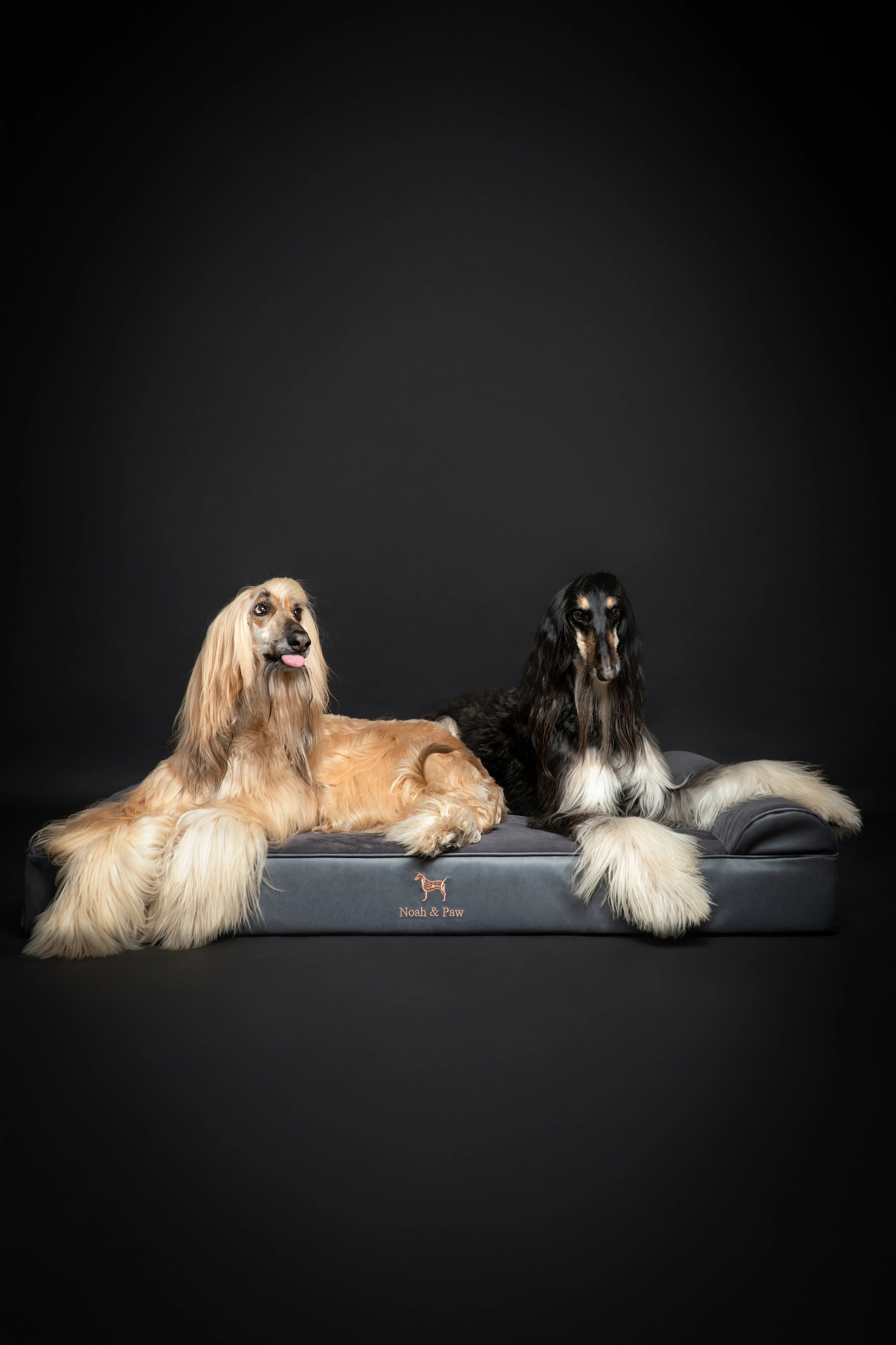 Faux Leather, Orthopedic Pet Bed, Eggshell Memory Foam, Infused with Cooling Gel, Classic Style
