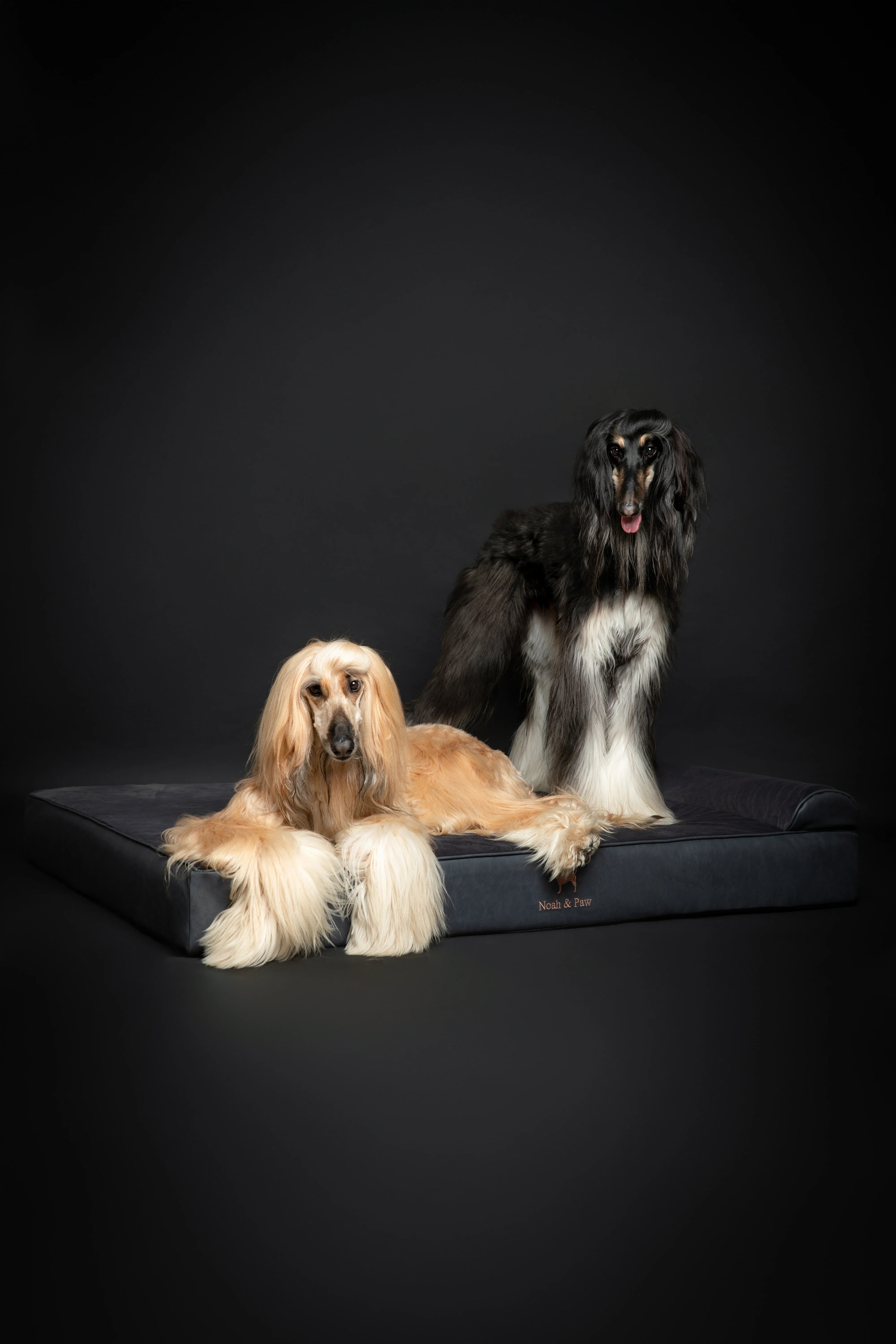 Faux Leather, Orthopedic Pet Bed, Eggshell Memory Foam, Infused with Cooling Gel, Classic Style