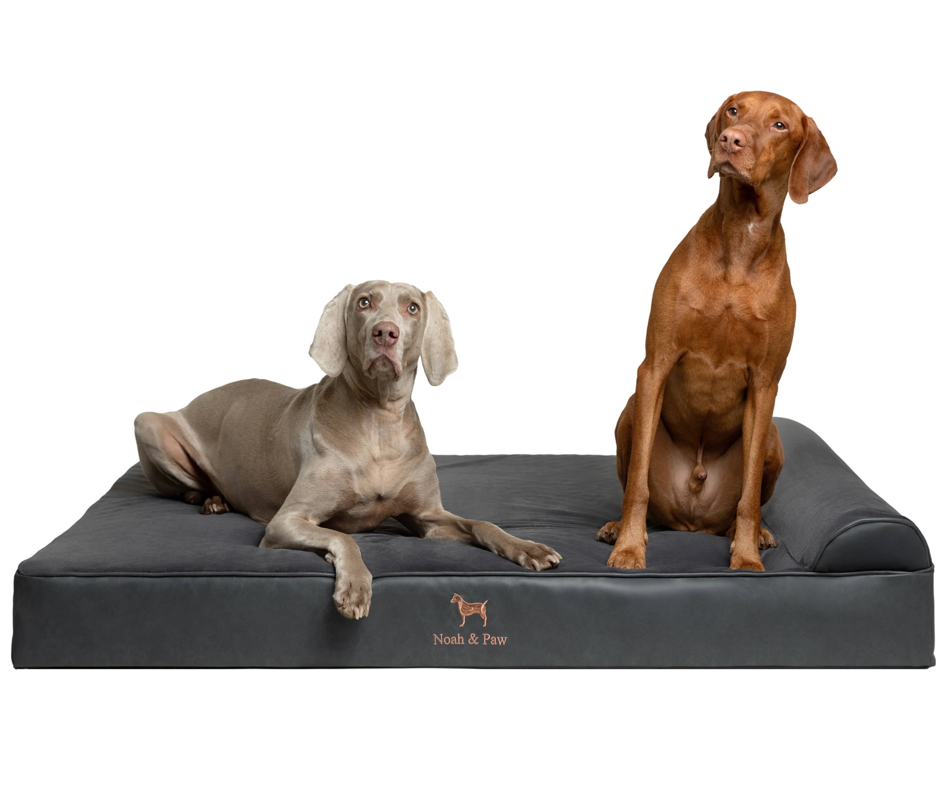 Orthopedic Faux Leather Pet Bed Classic Style - Black - XXL