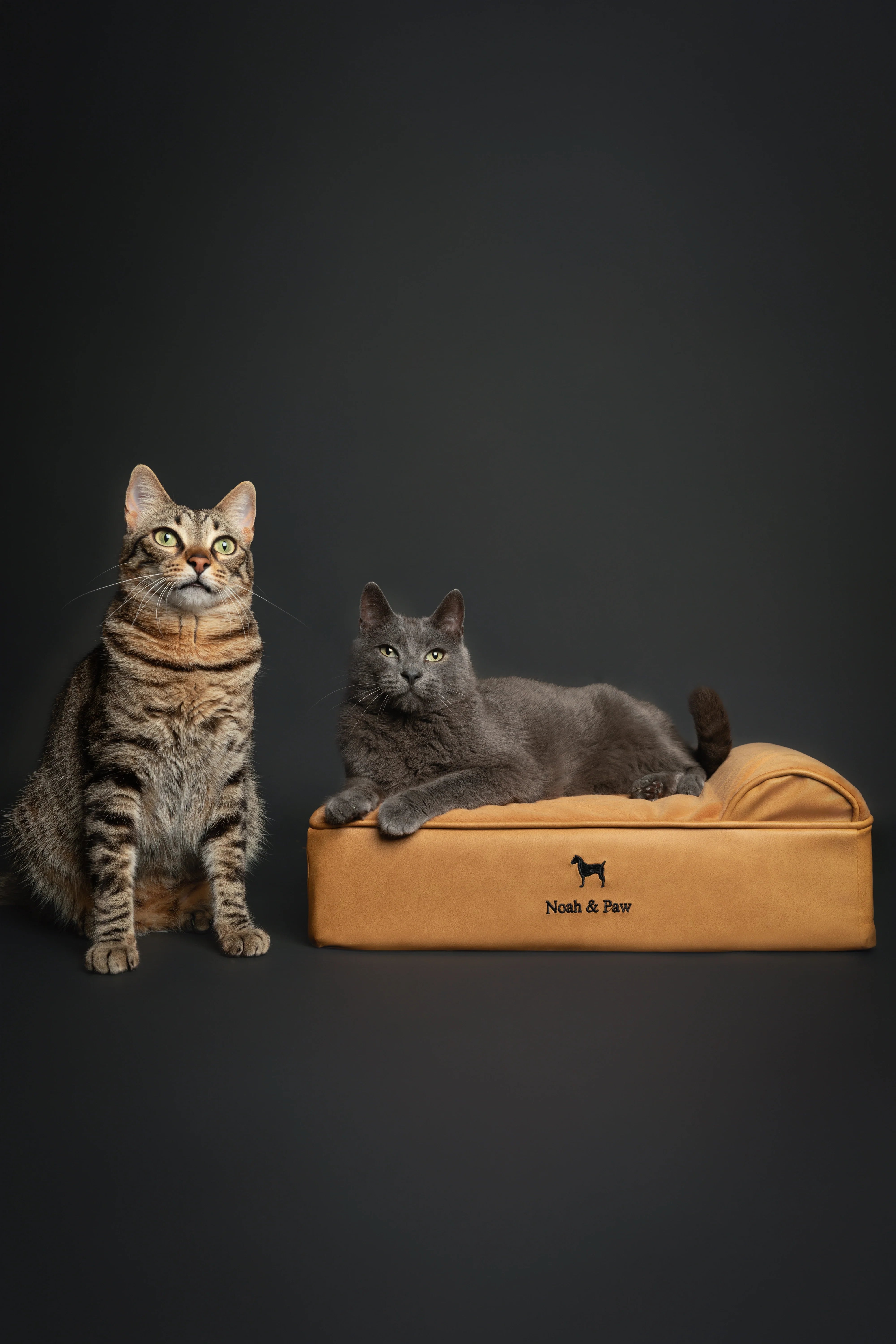 Faux Leather, Orthopedic Pet Bed, Eggshell Memory Foam, Infused with Cooling Gel, Classic Style