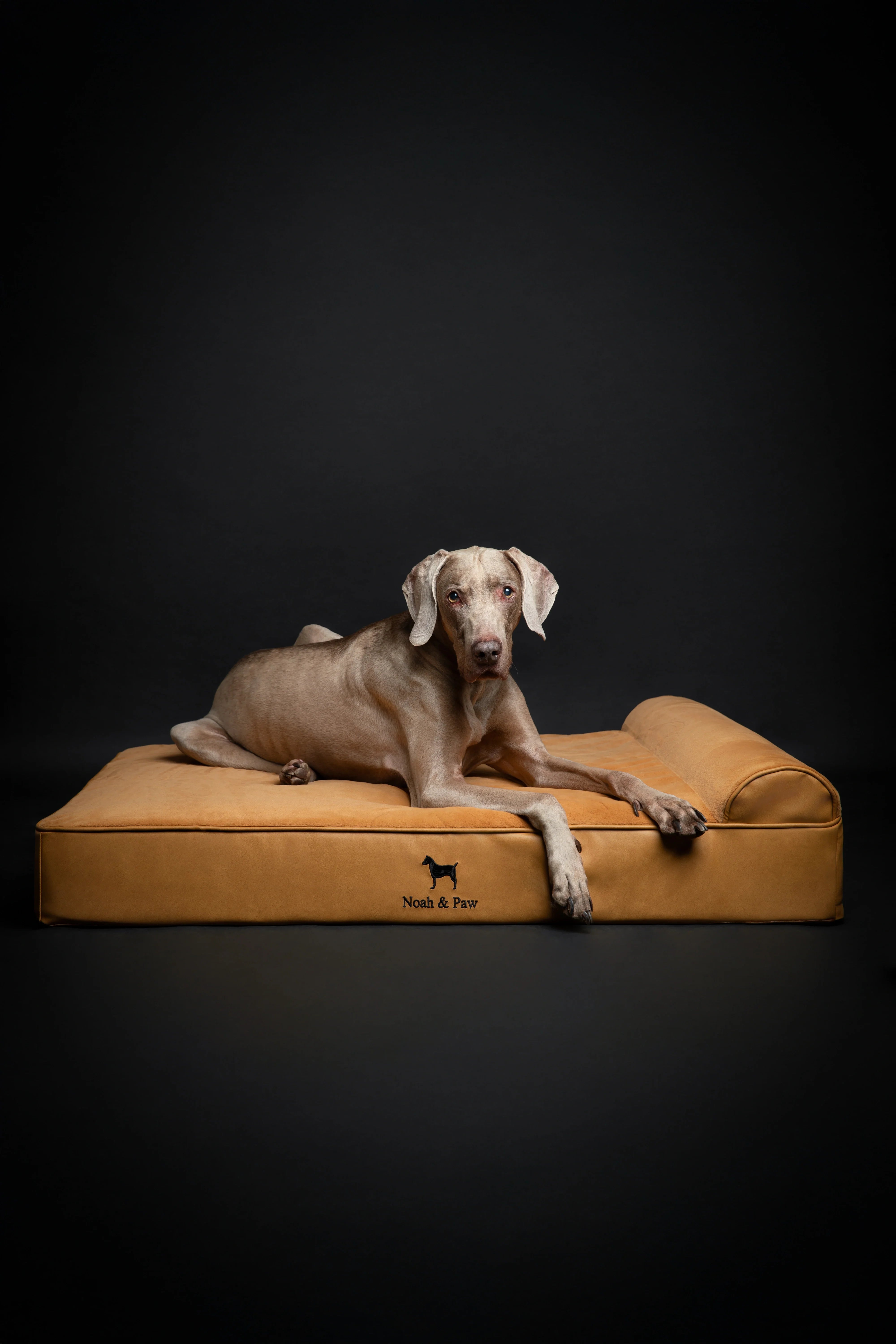 Faux Leather, Orthopedic Pet Bed, Eggshell Memory Foam, Infused with Cooling Gel, Classic Style