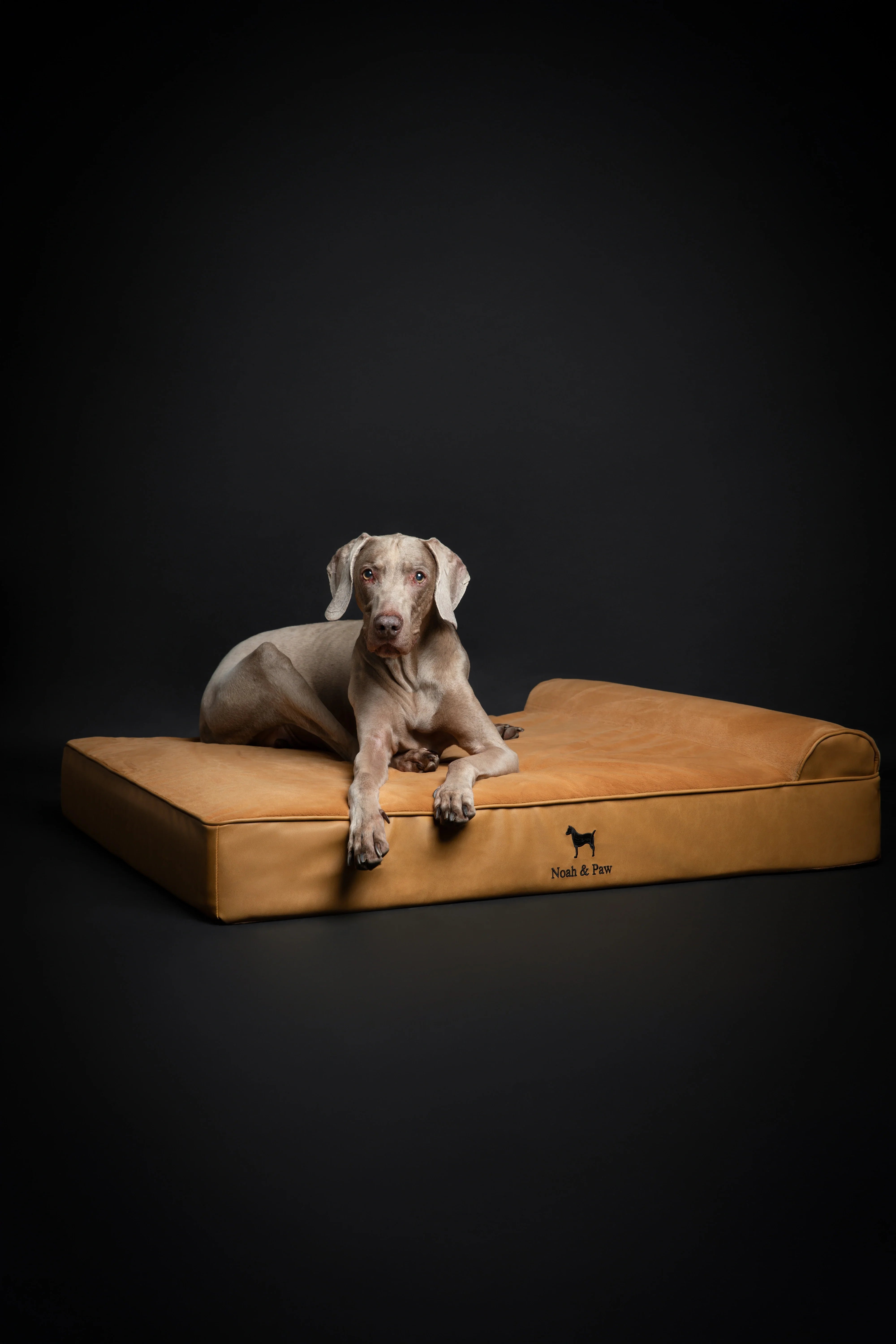 Faux Leather, Orthopedic Pet Bed, Eggshell Memory Foam, Infused with Cooling Gel, Classic Style