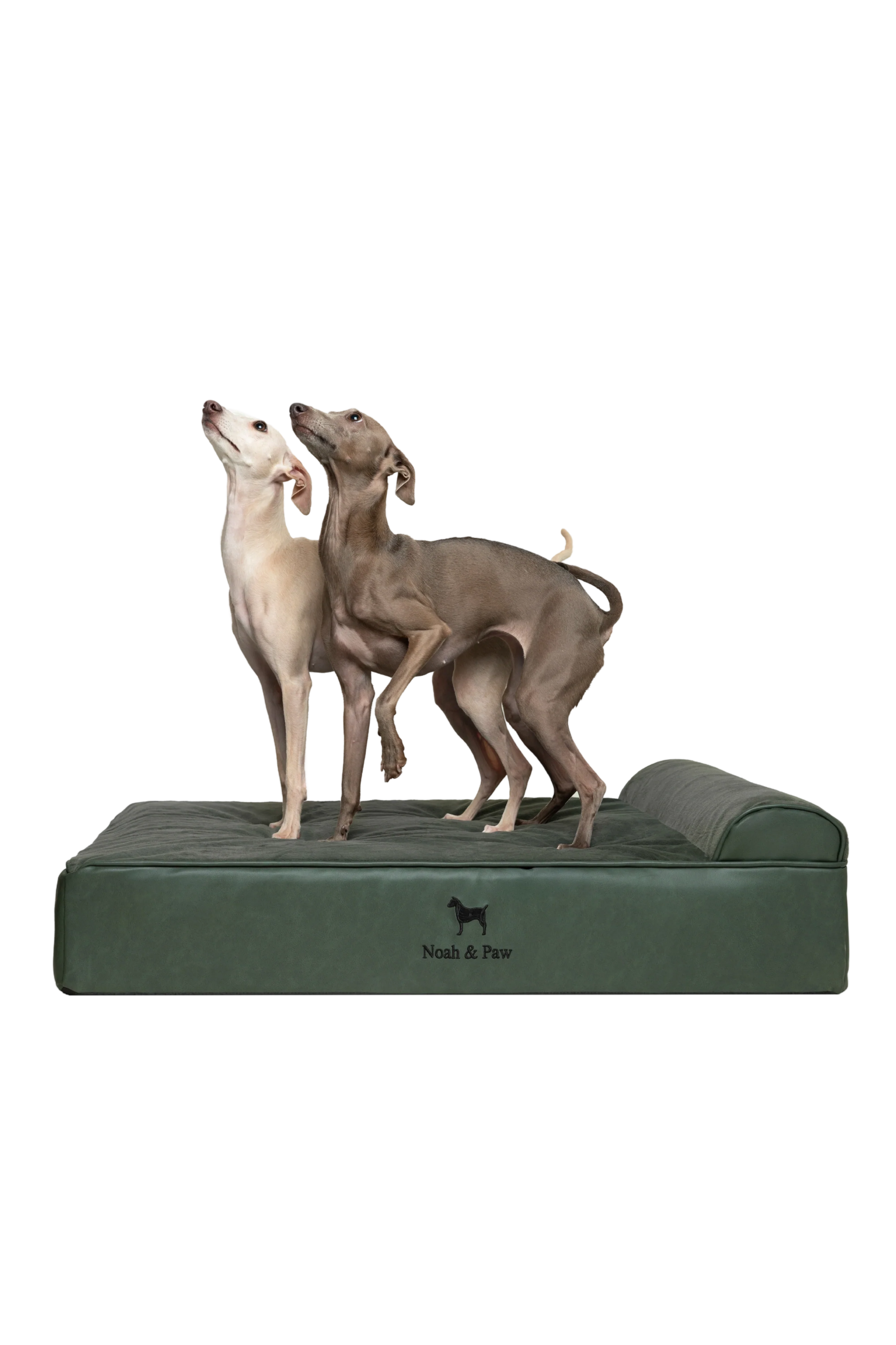 Orthopedic Faux Leather Pet Bed Classic Style - Dark Green - L