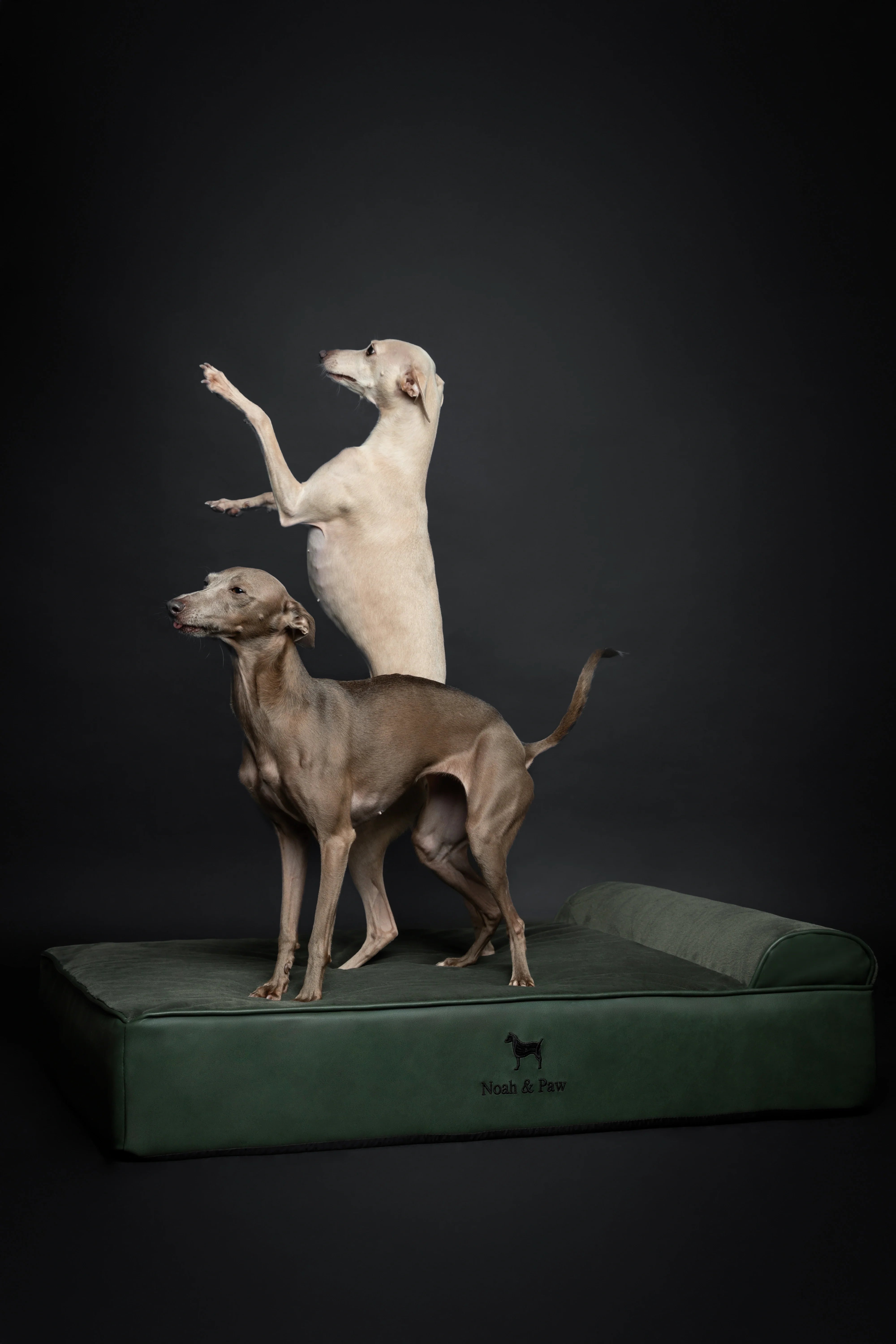 Faux Leather, Orthopedic Pet Bed, Eggshell Memory Foam, Infused with Cooling Gel, Classic Style