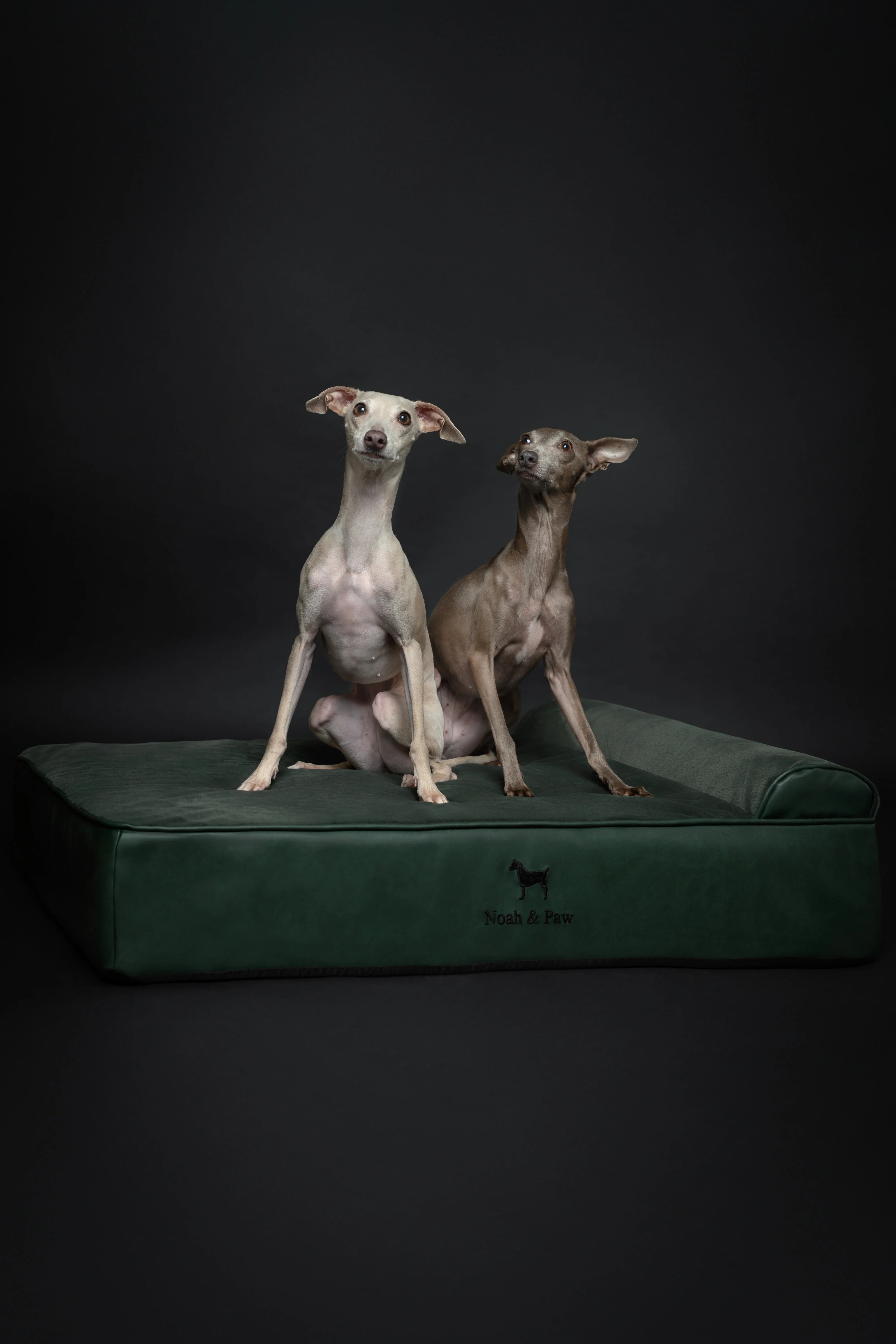 Faux Leather, Orthopedic Pet Bed, Eggshell Memory Foam, Infused with Cooling Gel, Classic Style