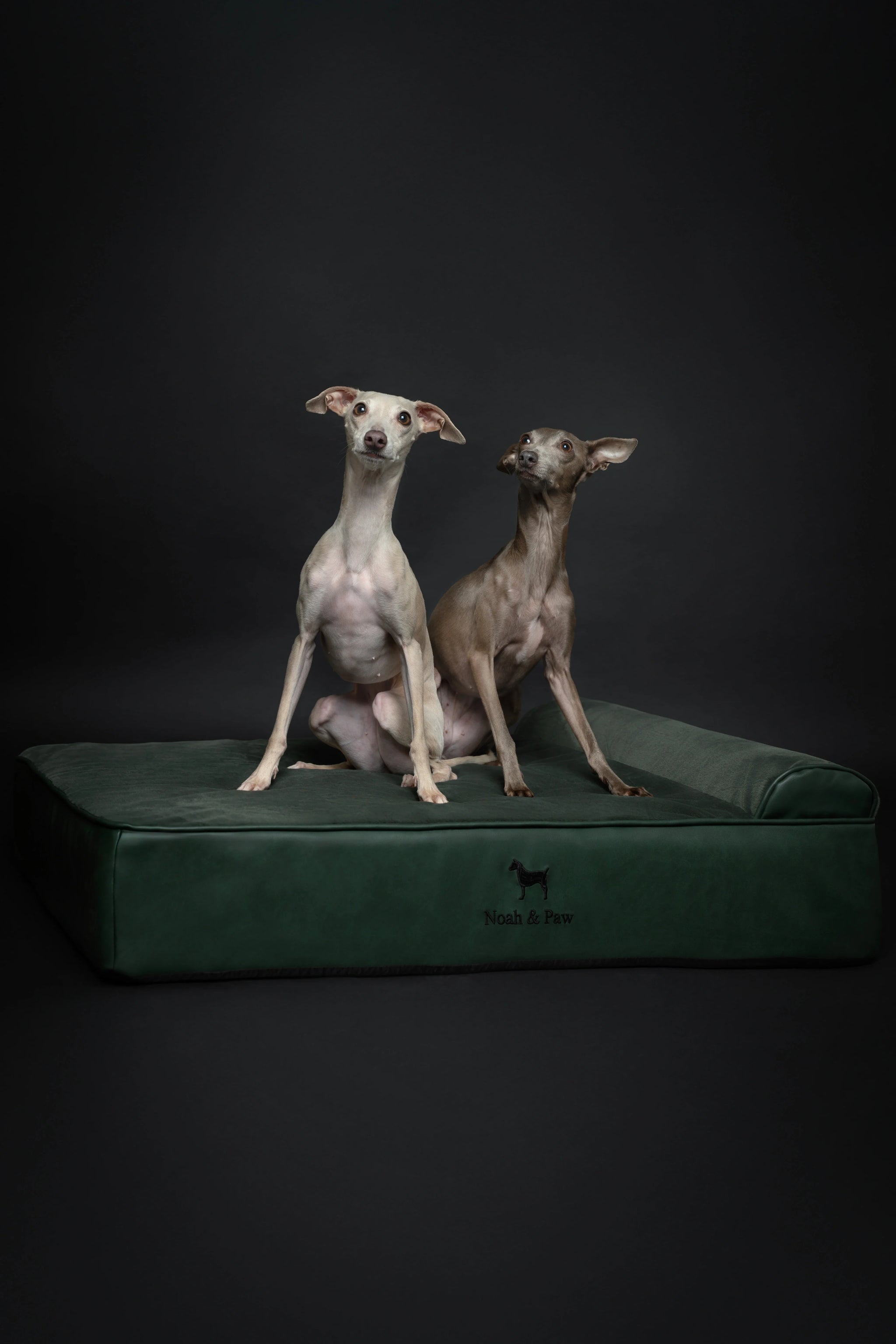 Faux Leather, Orthopedic Pet Bed, Eggshell Memory Foam, Infused with Cooling Gel, Classic Style