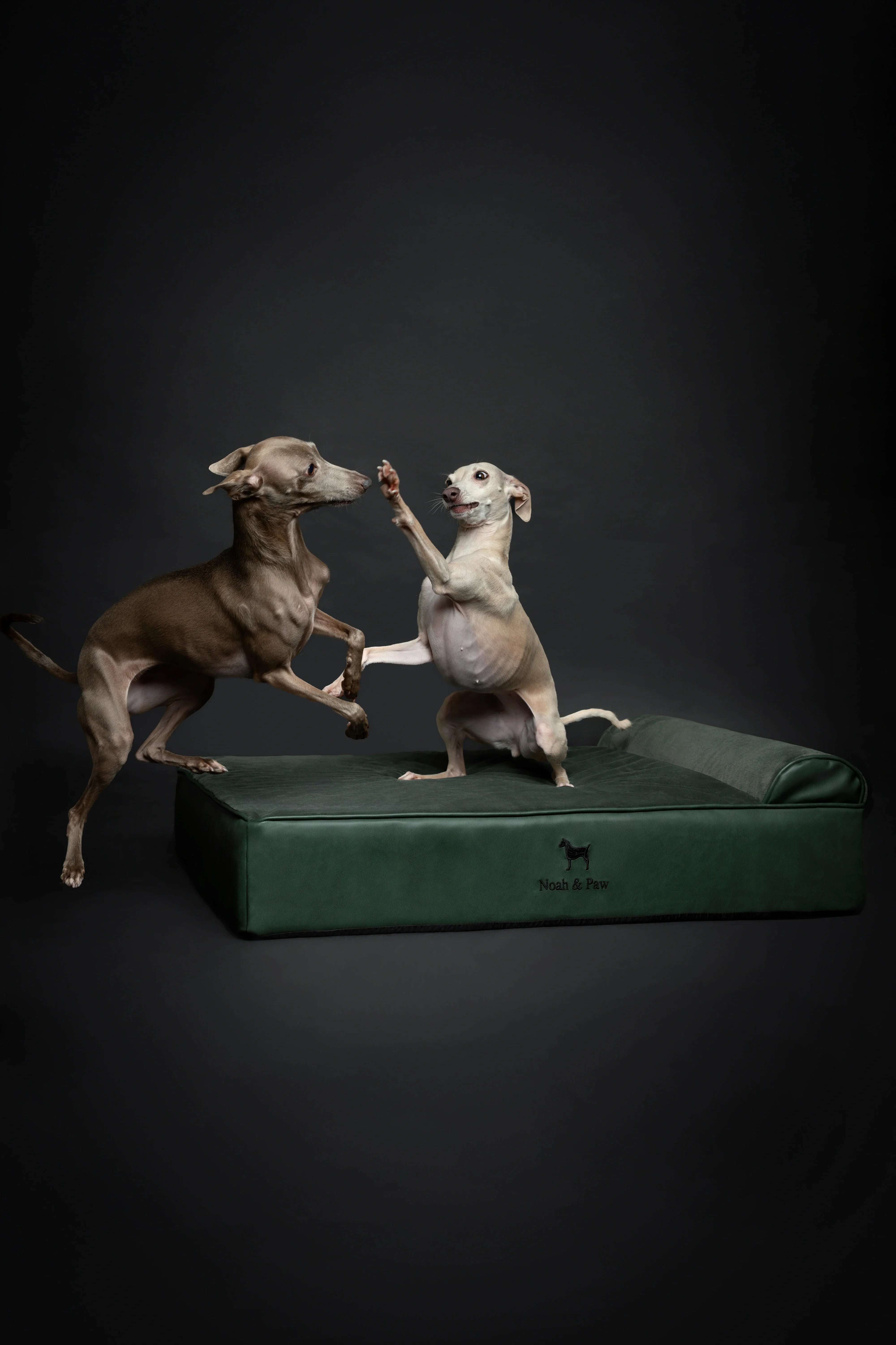 Faux Leather, Orthopedic Pet Bed, Eggshell Memory Foam, Infused with Cooling Gel, Classic Style