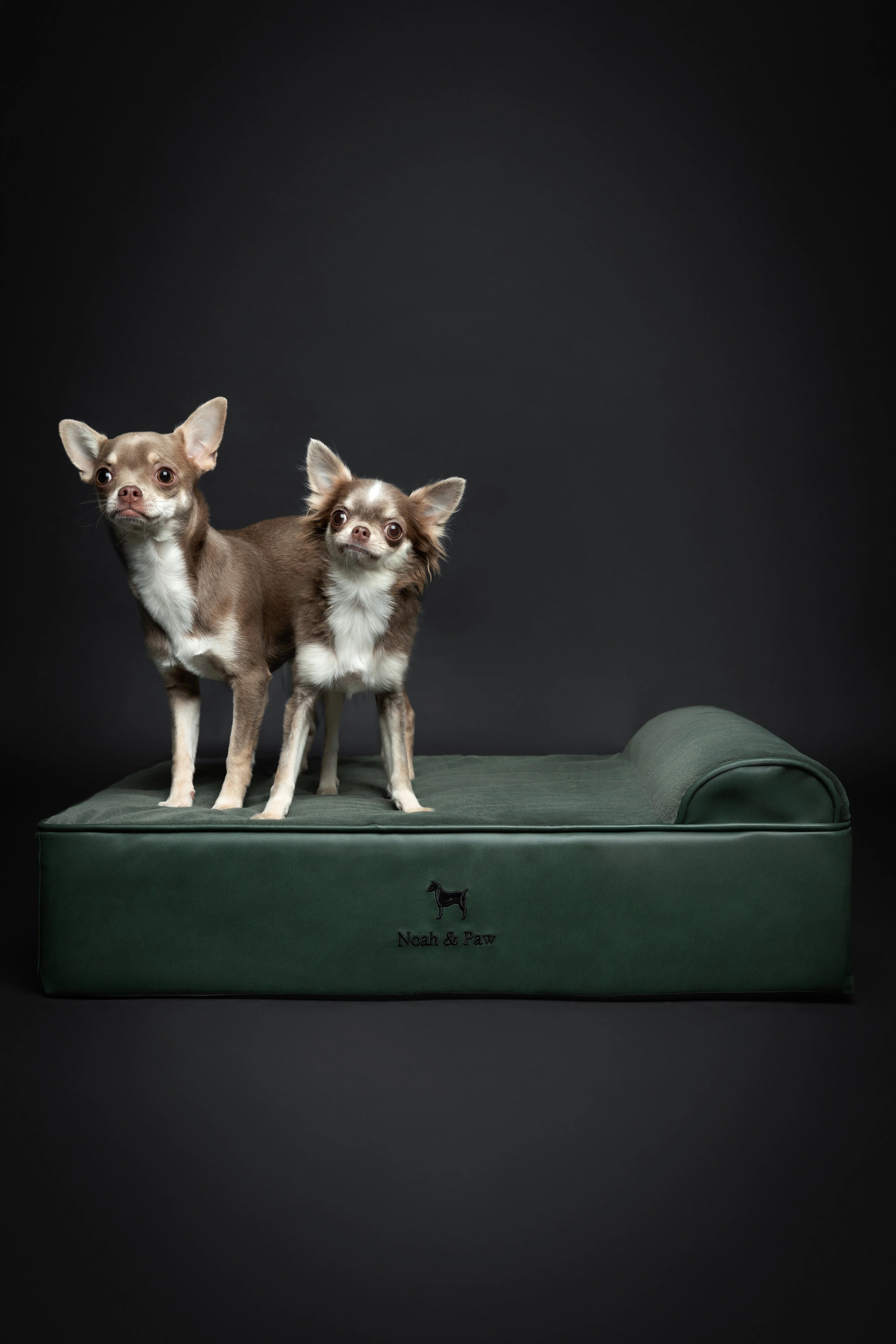 Faux Leather, Orthopedic Pet Bed, Eggshell Memory Foam, Infused with Cooling Gel, Classic Style