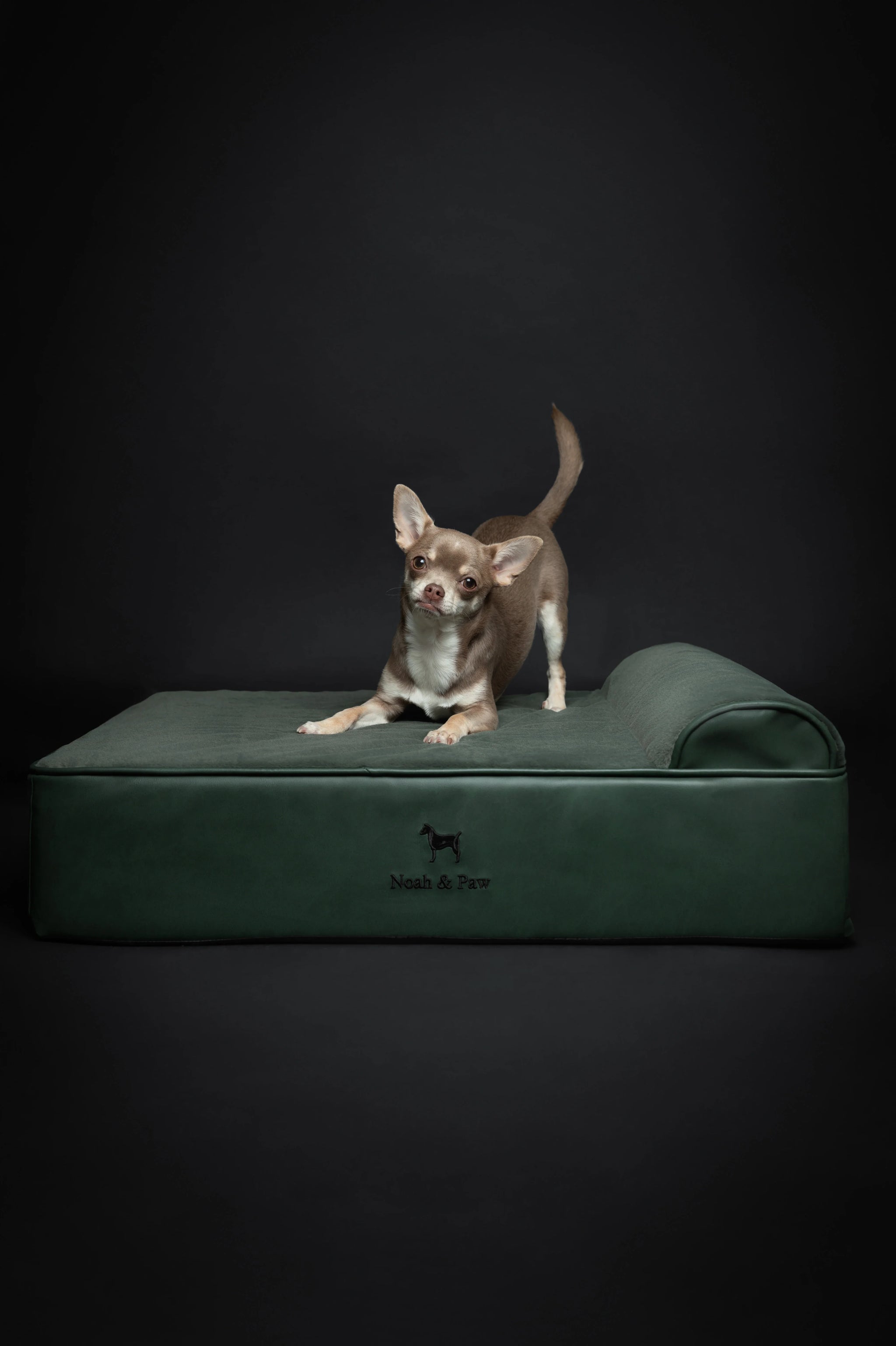 Faux Leather, Orthopedic Pet Bed, Eggshell Memory Foam, Infused with Cooling Gel, Classic Style