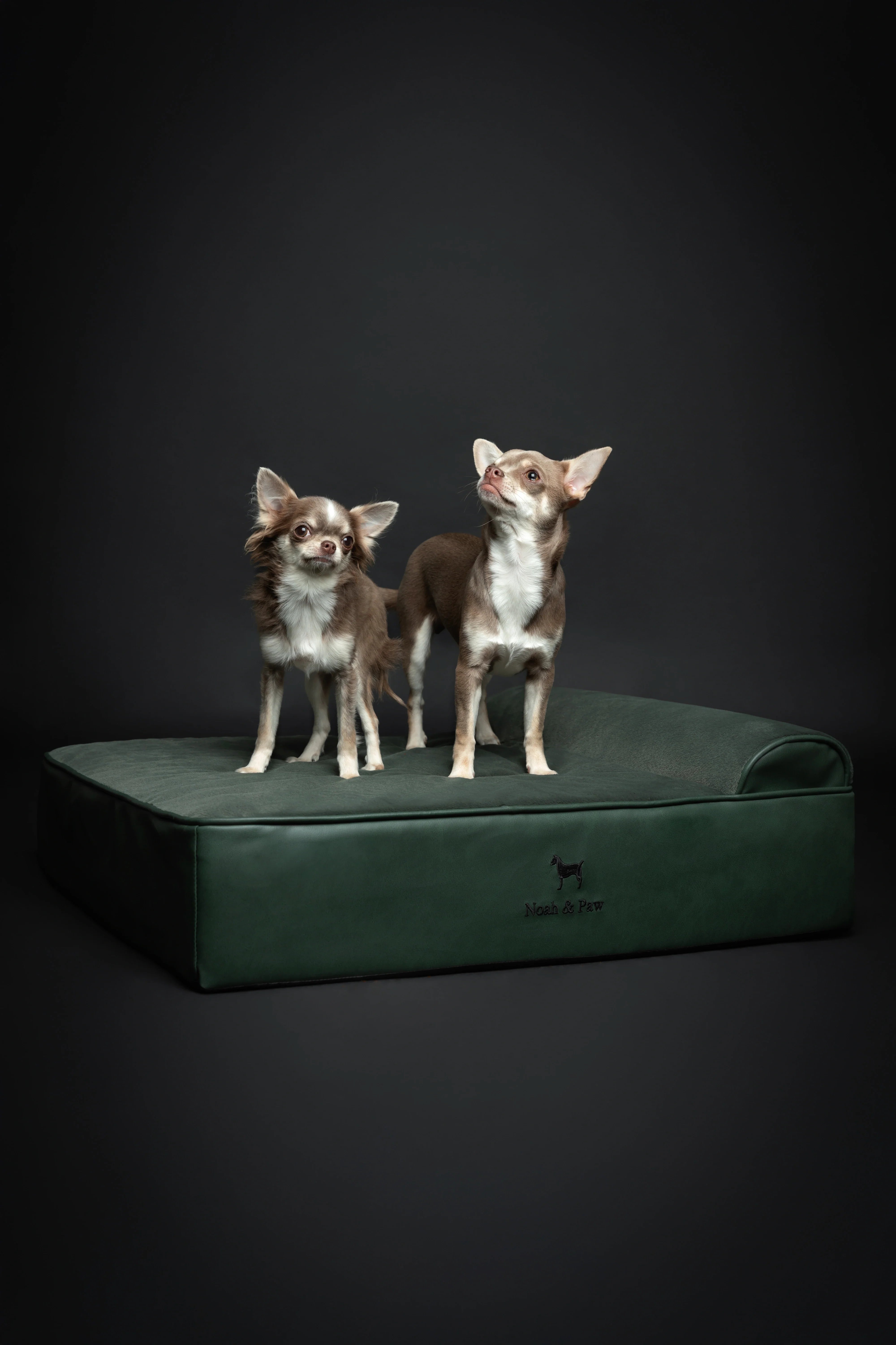 Faux Leather, Orthopedic Pet Bed, Eggshell Memory Foam, Infused with Cooling Gel, Classic Style