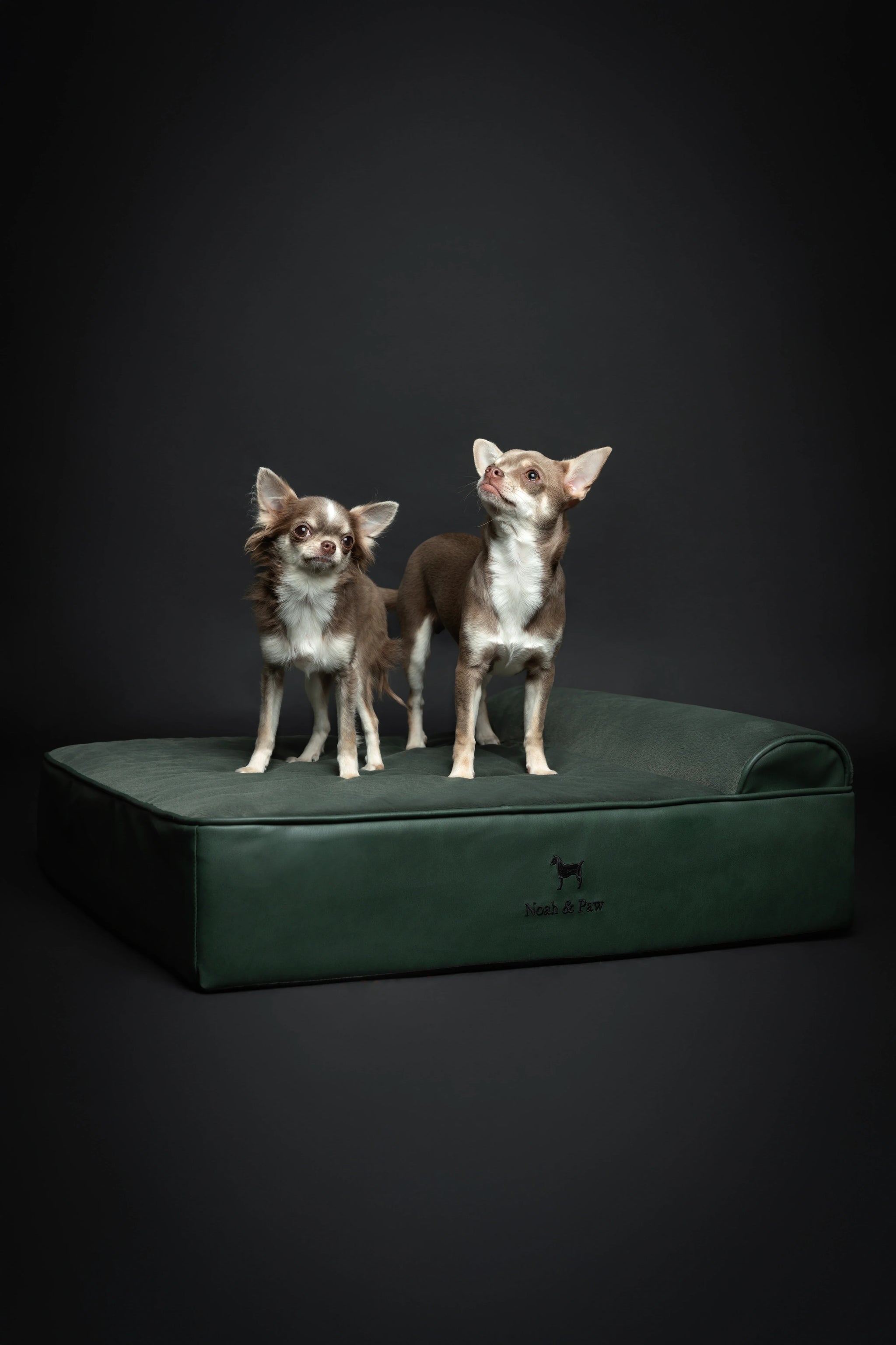Faux Leather, Orthopedic Pet Bed, Eggshell Memory Foam, Infused with Cooling Gel, Classic Style