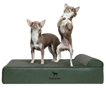 Orthopedic Faux Leather Pet Bed Classic Style - Dark Green - M