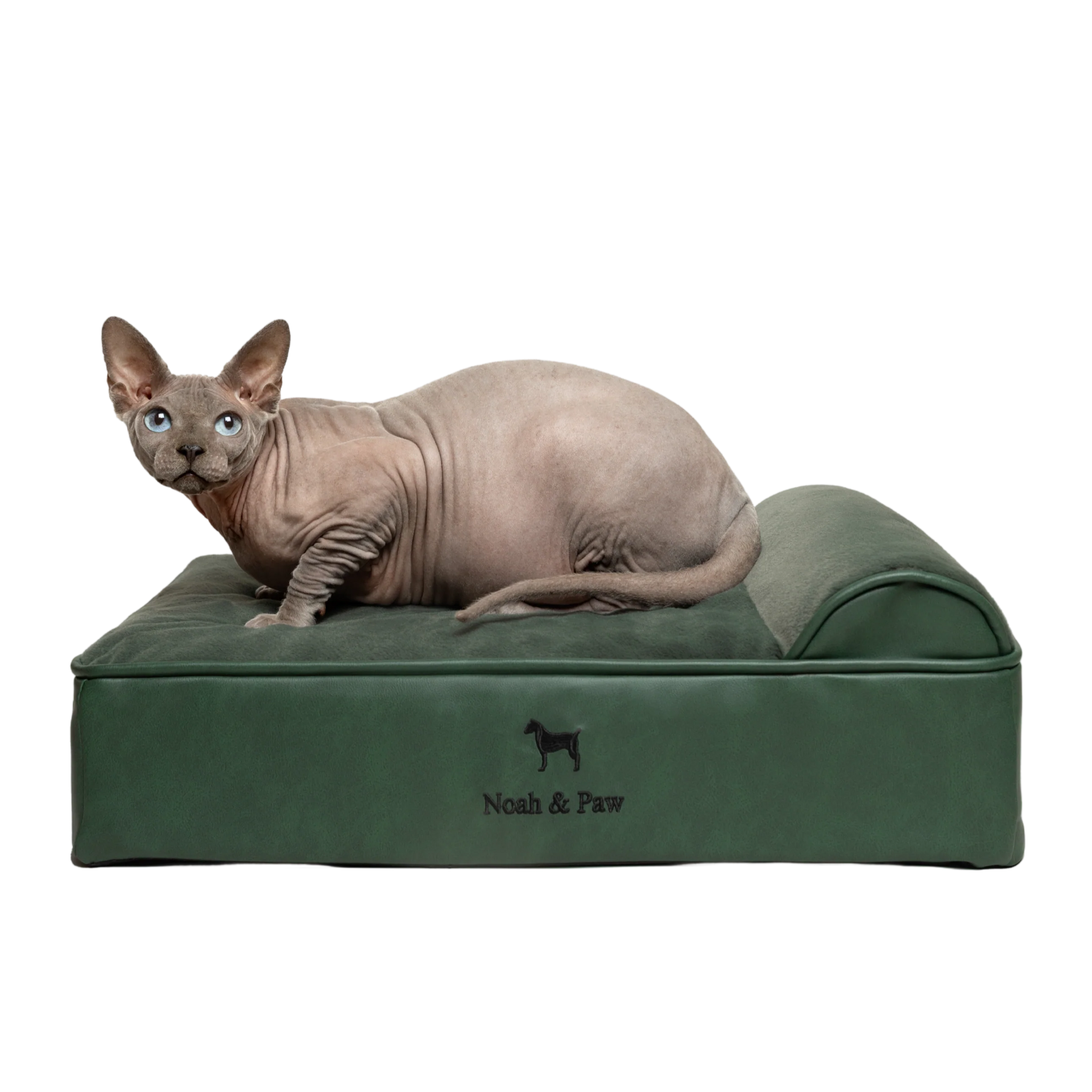 Orthopedic Faux Leather Pet Bed Classic Style - Dark Green - S