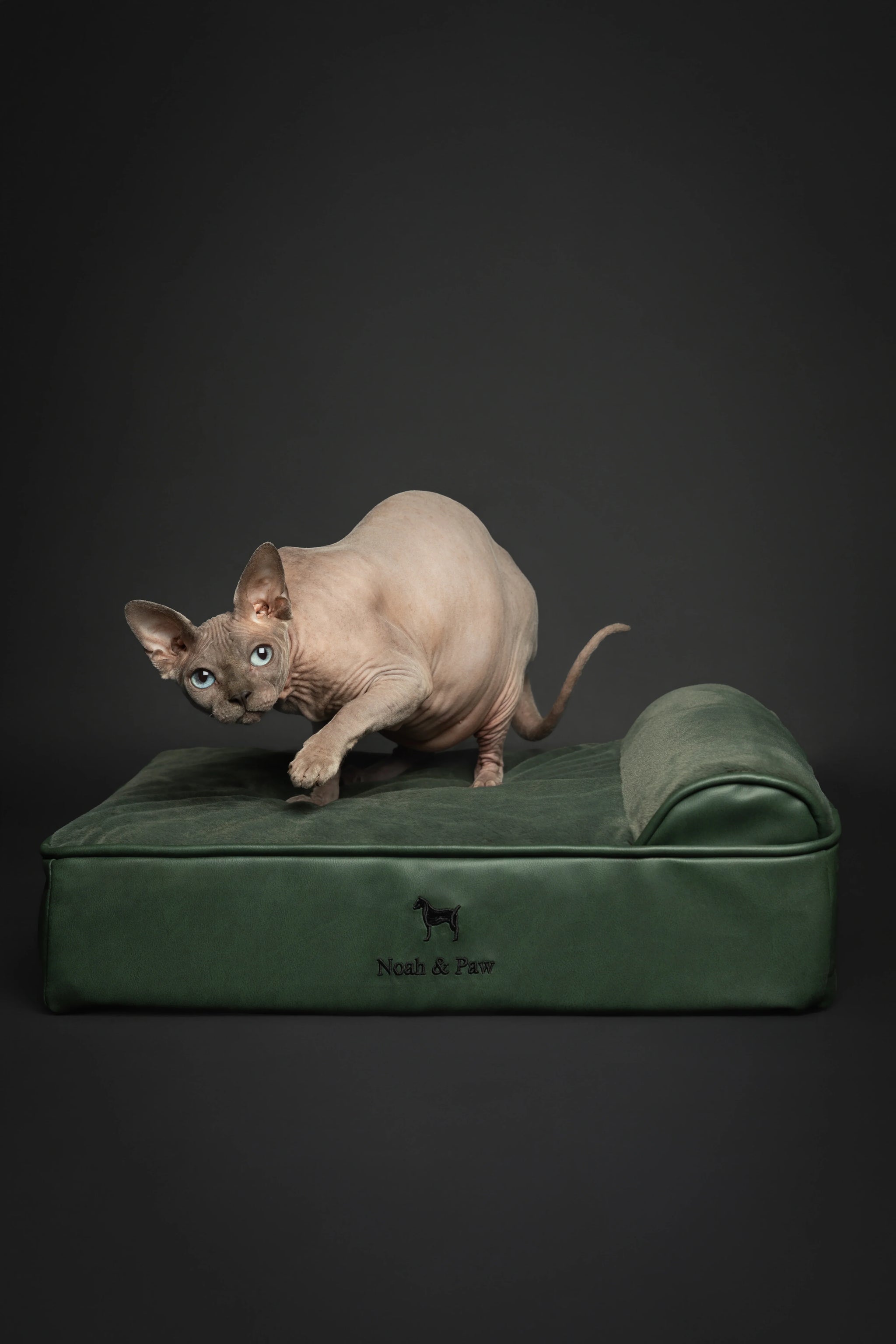 Faux Leather, Orthopedic Pet Bed, Eggshell Memory Foam, Infused with Cooling Gel, Classic Style