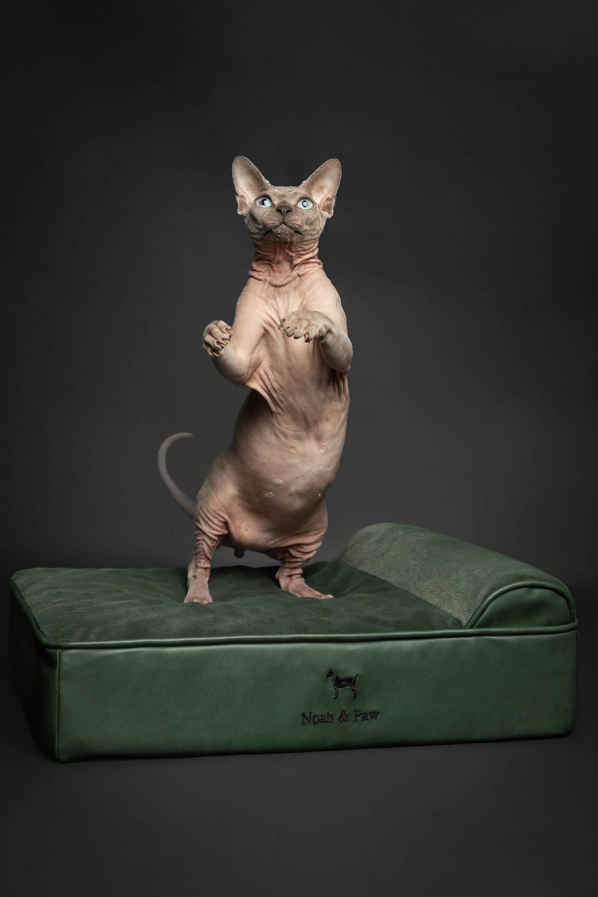 Faux Leather, Orthopedic Pet Bed, Eggshell Memory Foam, Infused with Cooling Gel, Classic Style