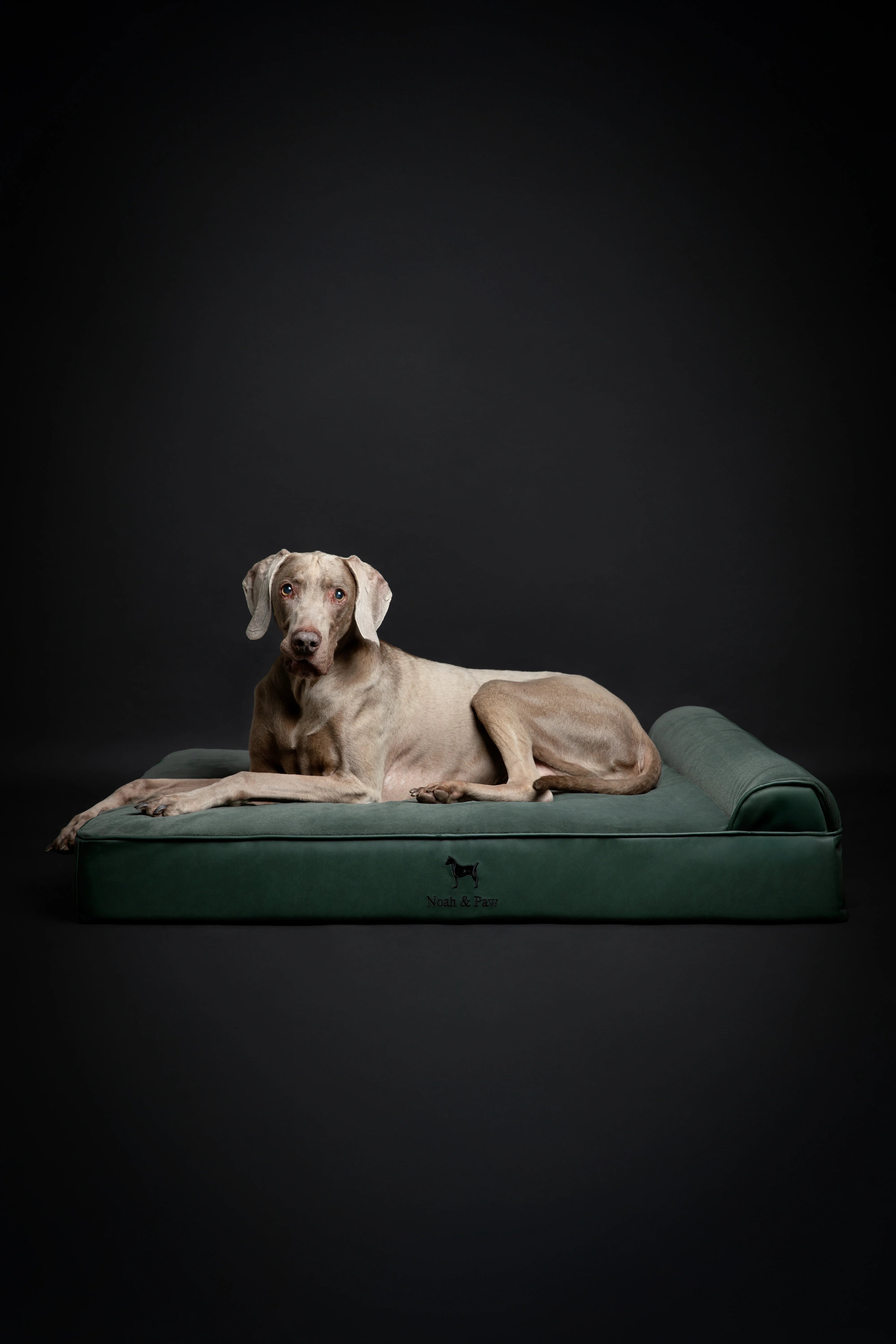 Faux Leather, Orthopedic Pet Bed, Eggshell Memory Foam, Infused with Cooling Gel, Classic Style