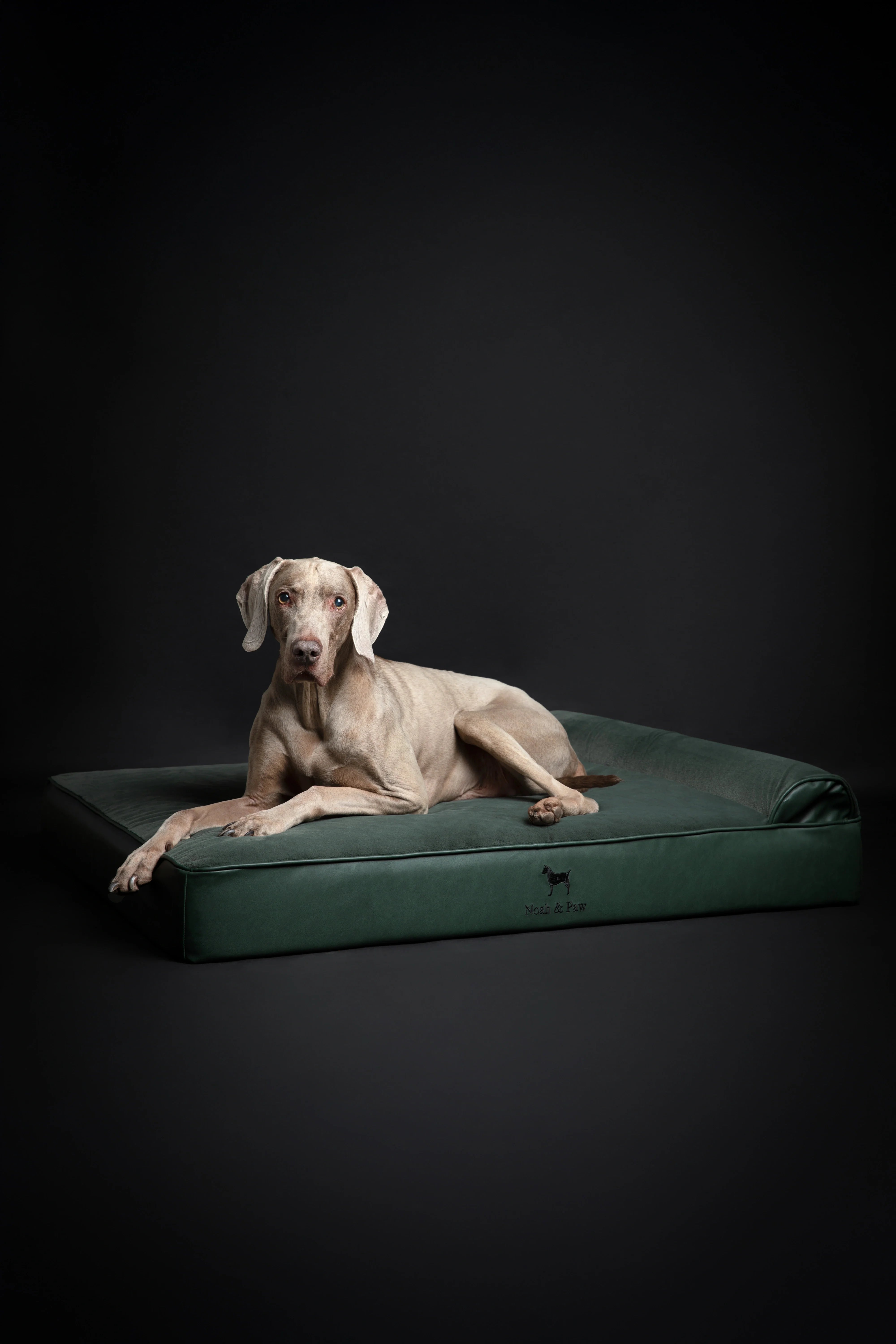 Faux Leather, Orthopedic Pet Bed, Eggshell Memory Foam, Infused with Cooling Gel, Classic Style