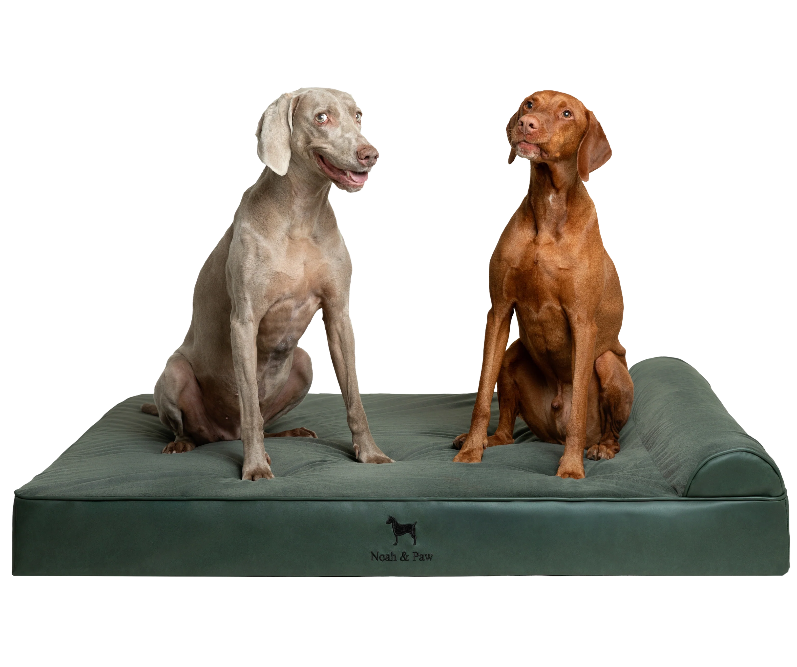 Orthopedic Faux Leather Pet Bed Classic Style - Dark Green - XXL