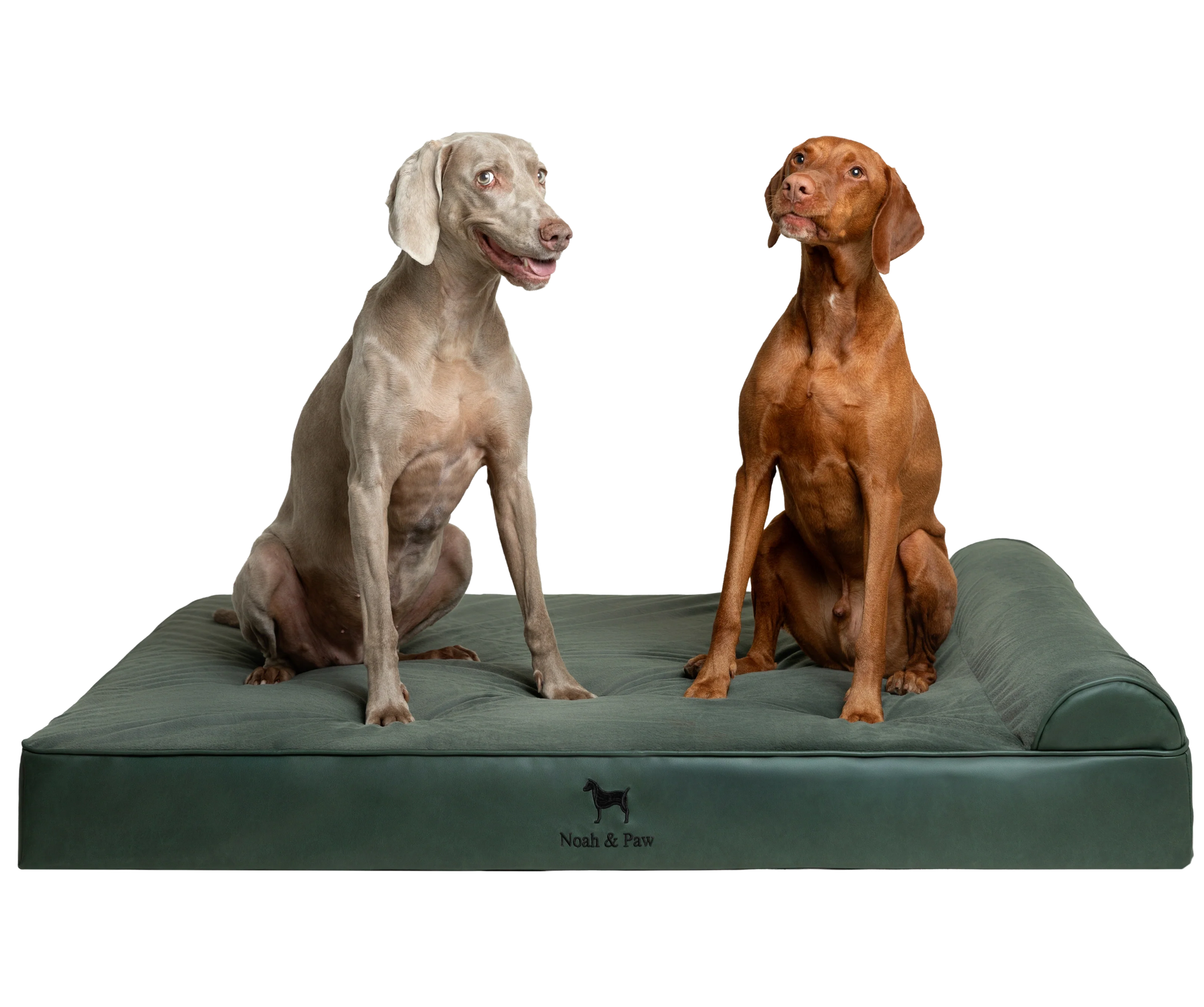 Orthopedic Faux Leather Pet Bed Classic Style - Dark Green - XXL