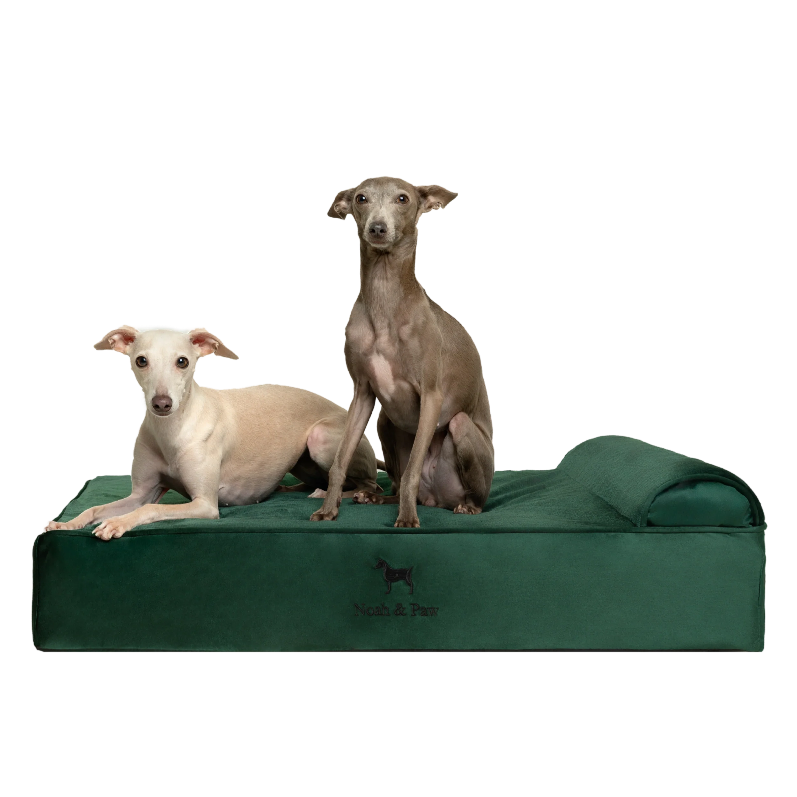 Velvet, Orthopedic Pet Bed, Classic Style - Dark Green - L