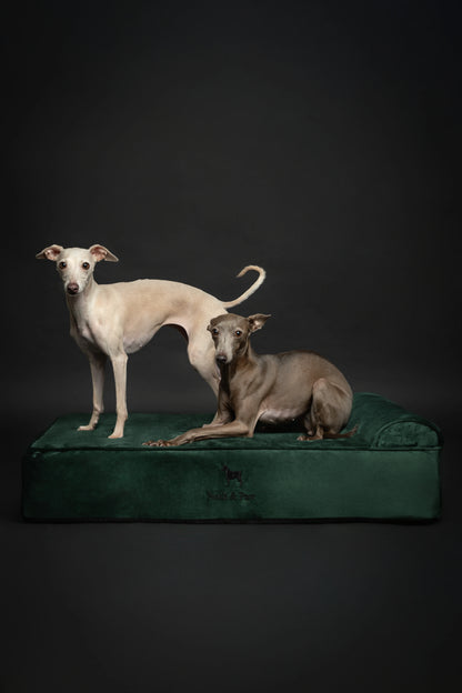 Velvet Orthopedic Pet Bed, Memory Foam, Infused with Cooling Gel - Classic