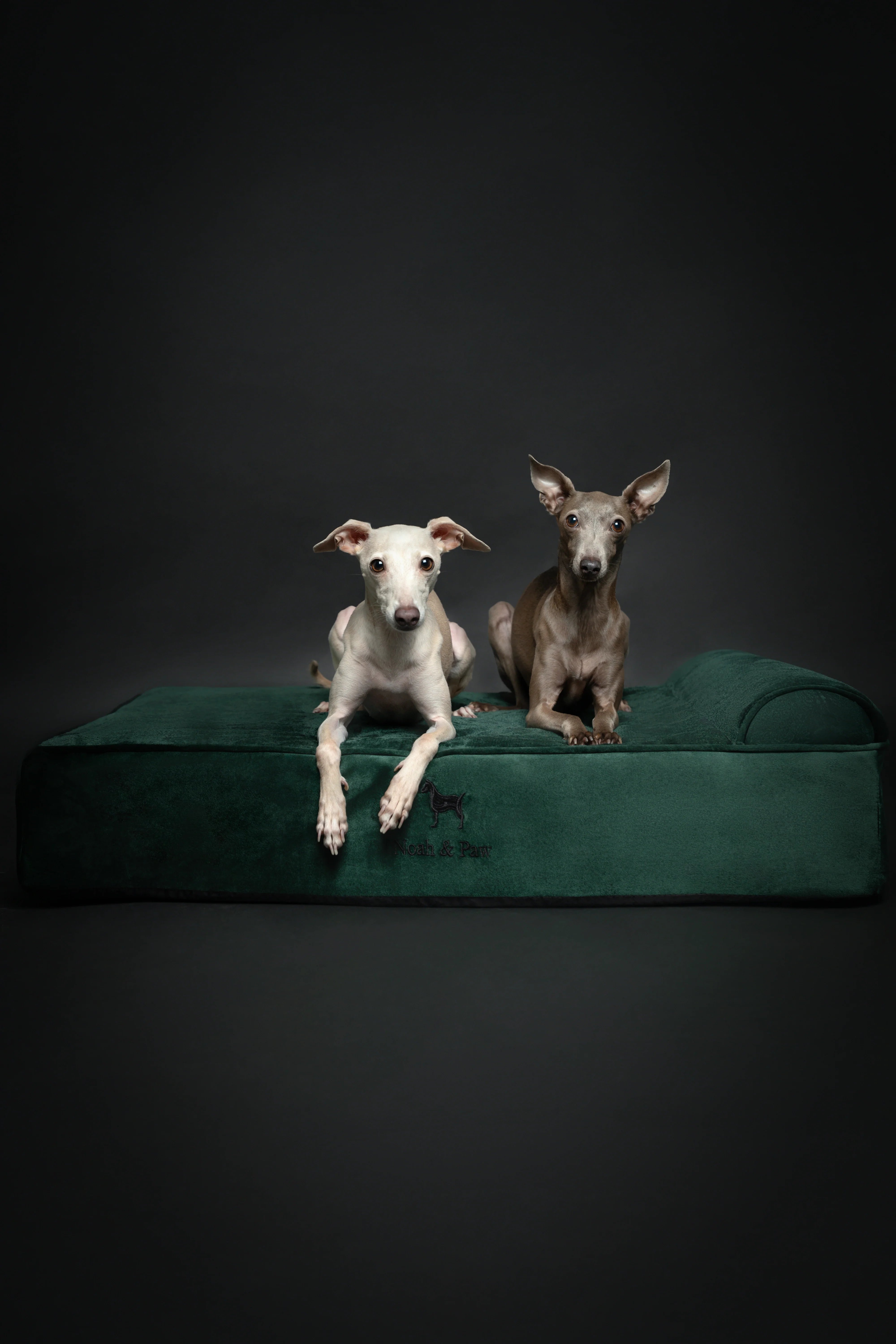 Velvet Orthopedic Pet Bed, Memory Foam, Infused with Cooling Gel - Classic