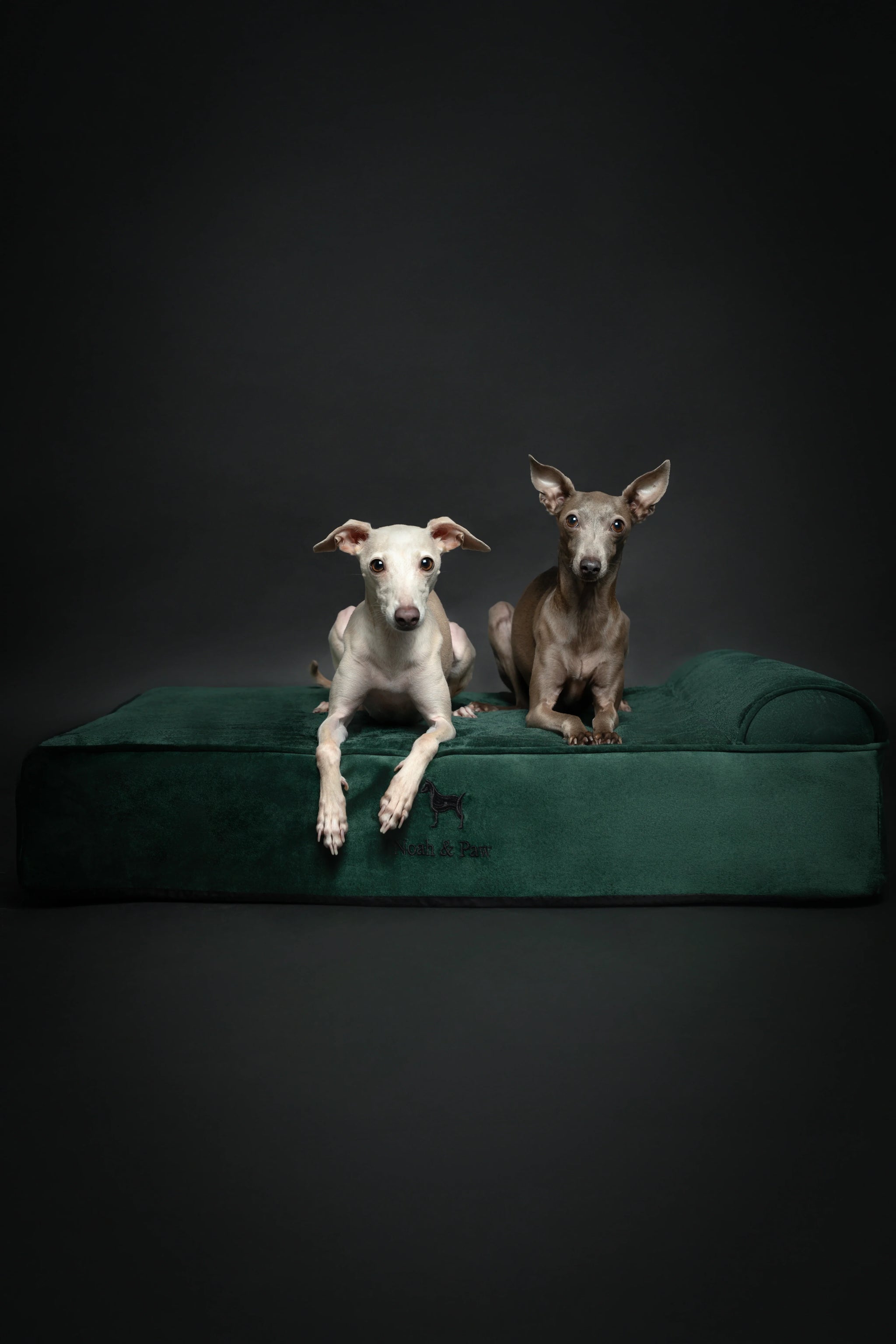 Velvet Orthopedic Pet Bed, Memory Foam, Infused with Cooling Gel - Classic