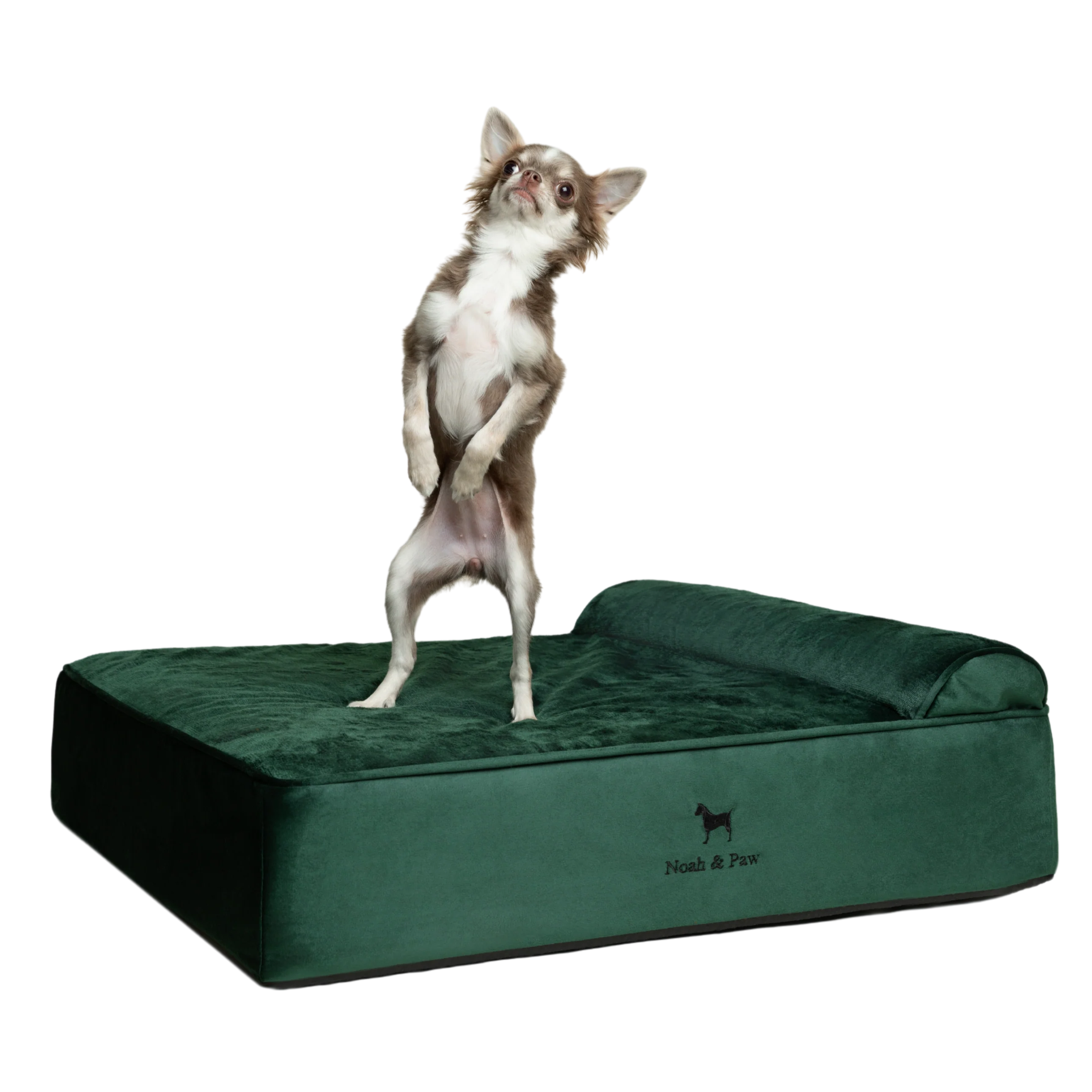 Velvet, Orthopedic Pet Bed, Classic Style - Dark Green - M