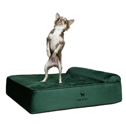 Velvet, Orthopedic Pet Bed, Classic Style - Dark Green - M