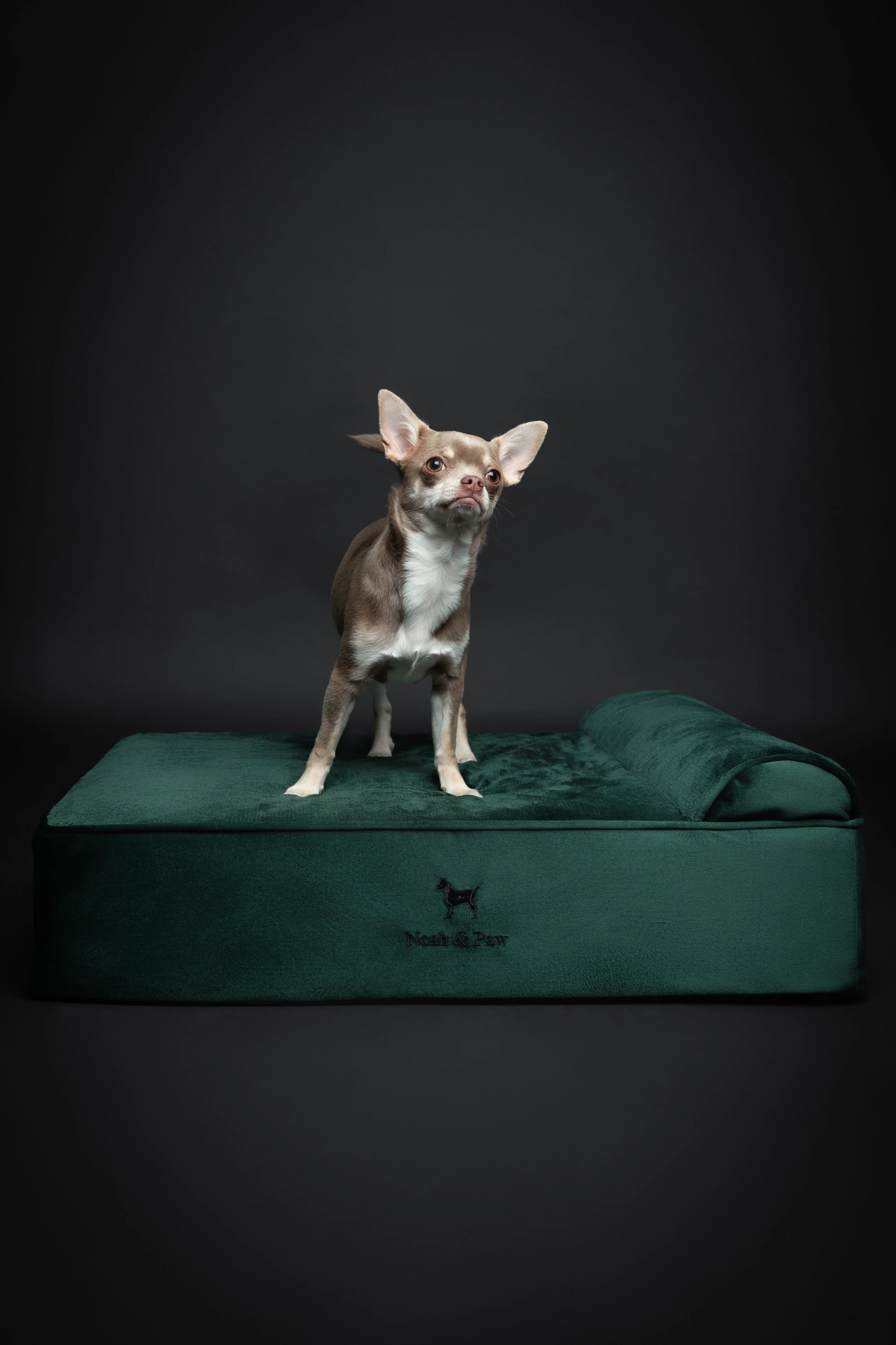Velvet Orthopedic Pet Bed, Memory Foam, Infused with Cooling Gel - Classic