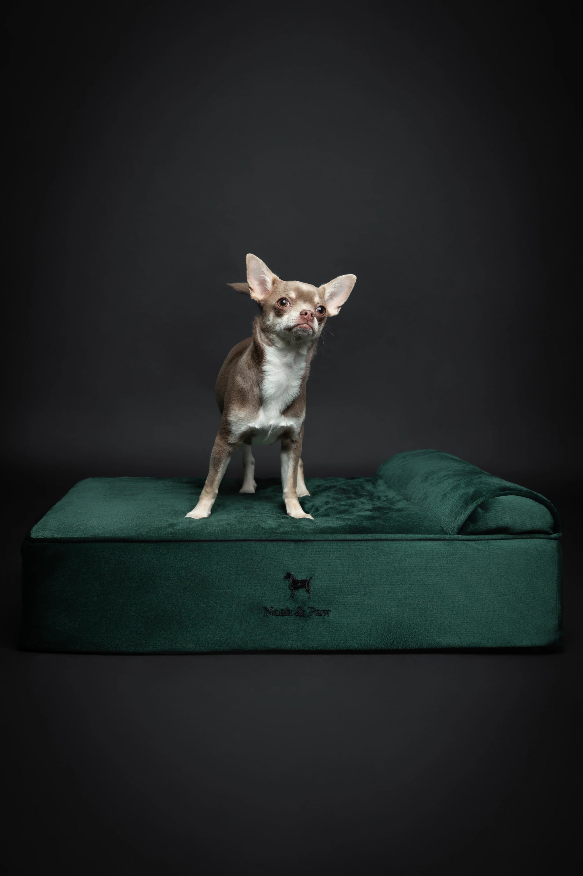 Velvet Orthopedic Pet Bed, Memory Foam, Infused with Cooling Gel - Classic