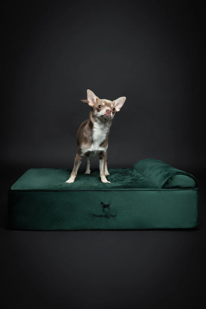 Velvet Orthopedic Pet Bed, Memory Foam, Infused with Cooling Gel - Classic