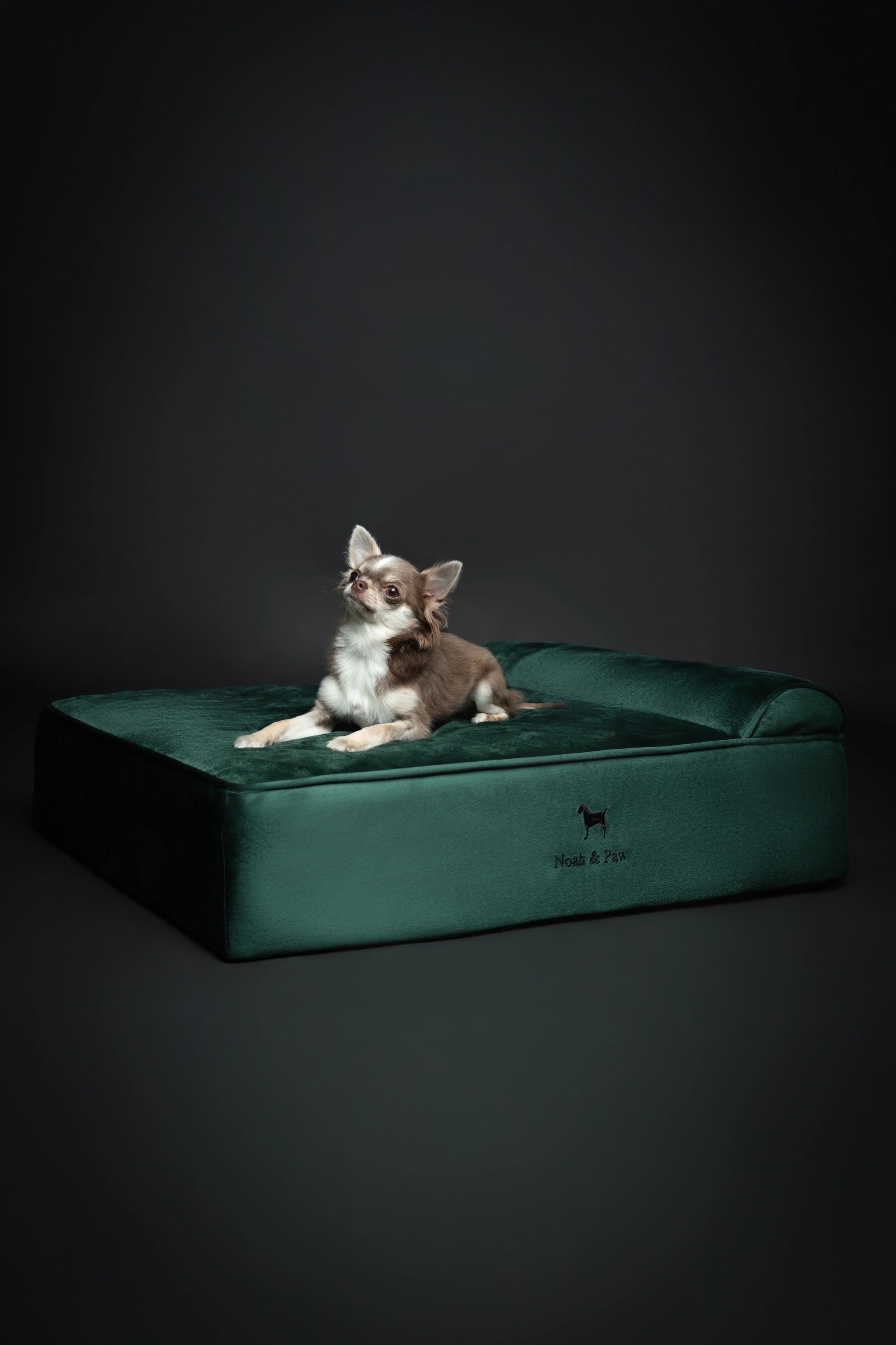 Velvet Orthopedic Pet Bed, Memory Foam, Infused with Cooling Gel - Classic