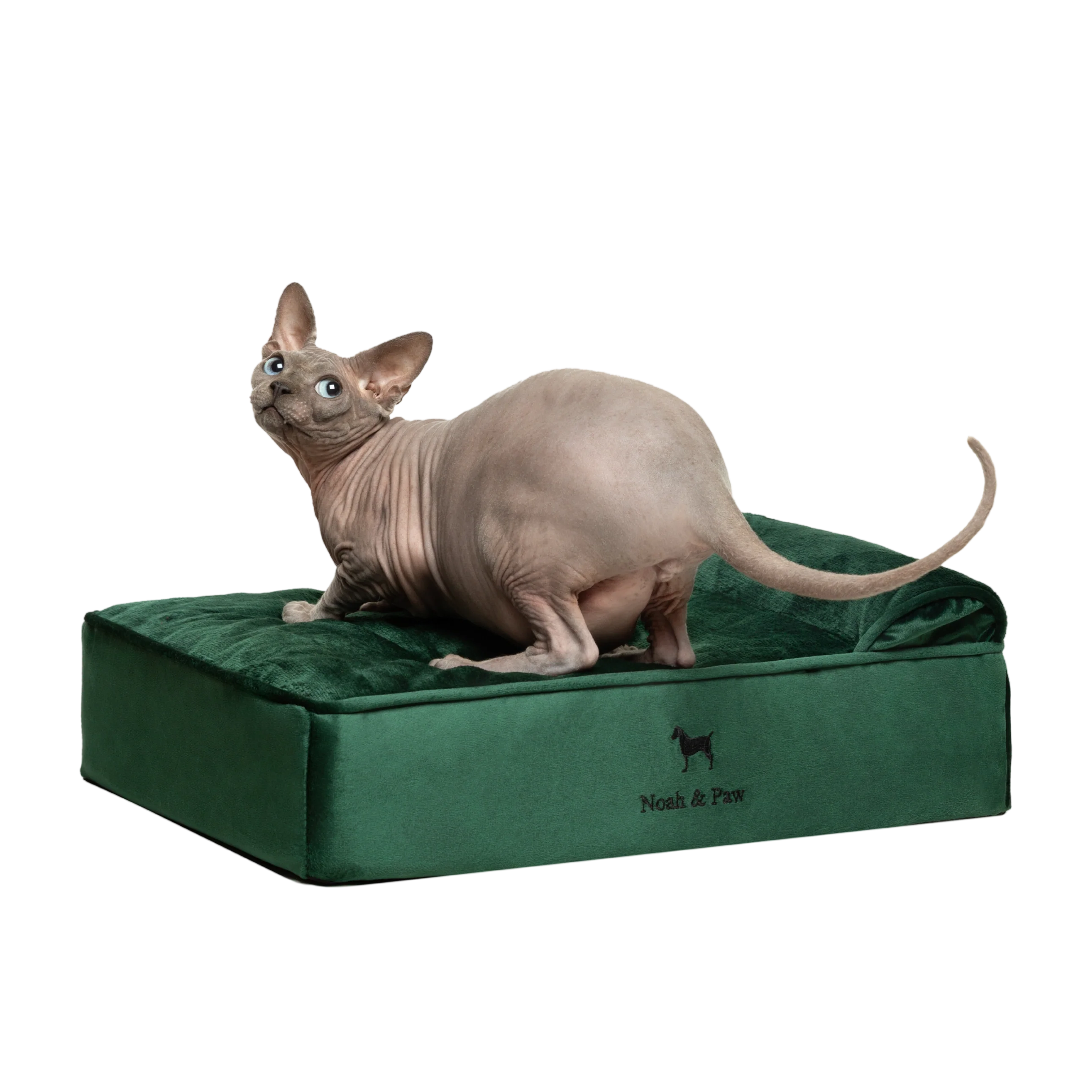 Velvet, Orthopedic Pet Bed, Classic Style - Dark Green - S