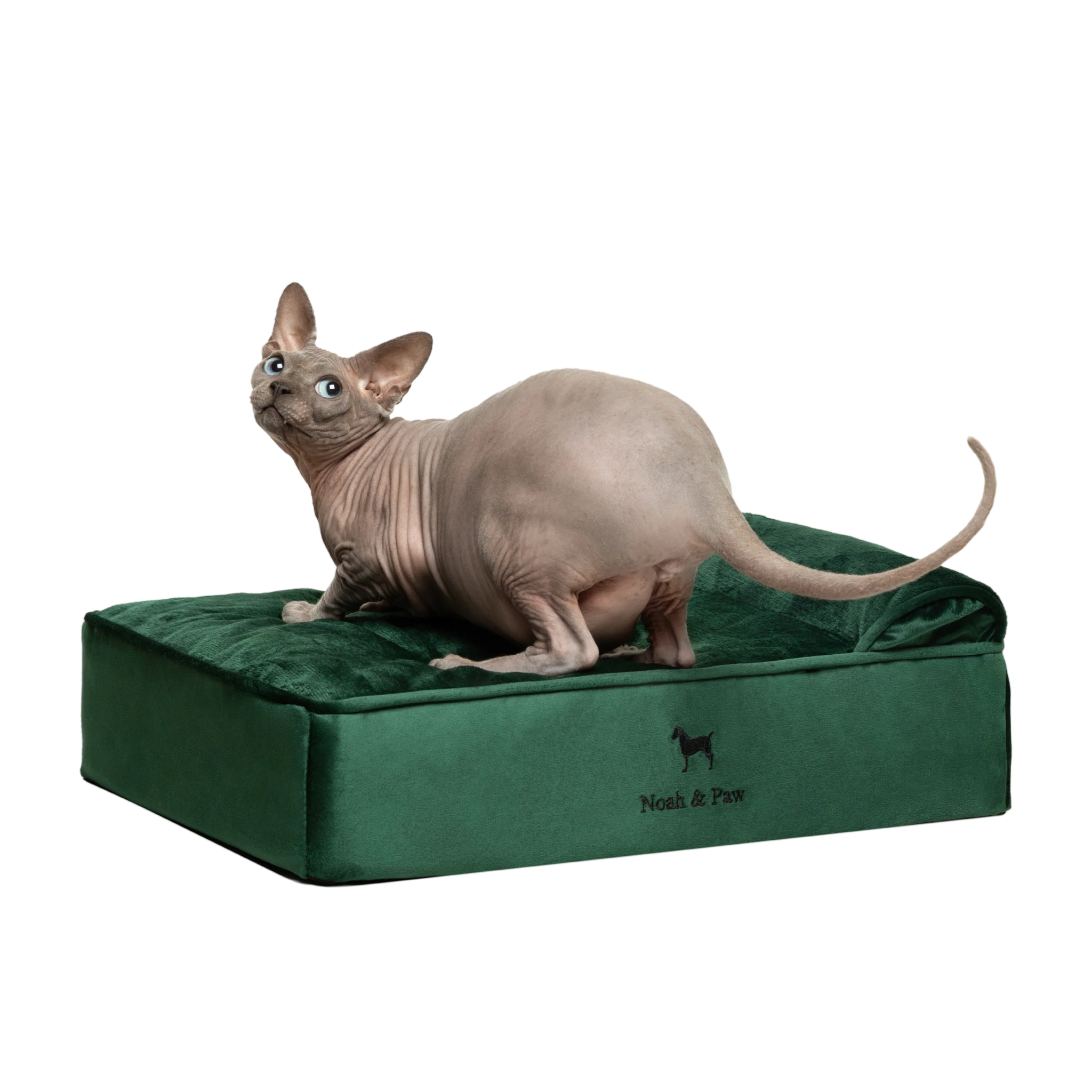 Velvet, Orthopedic Pet Bed, Classic Style - Dark Green - S