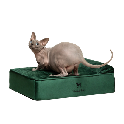 Velvet, Orthopedic Pet Bed, Classic Style - Dark Green - S