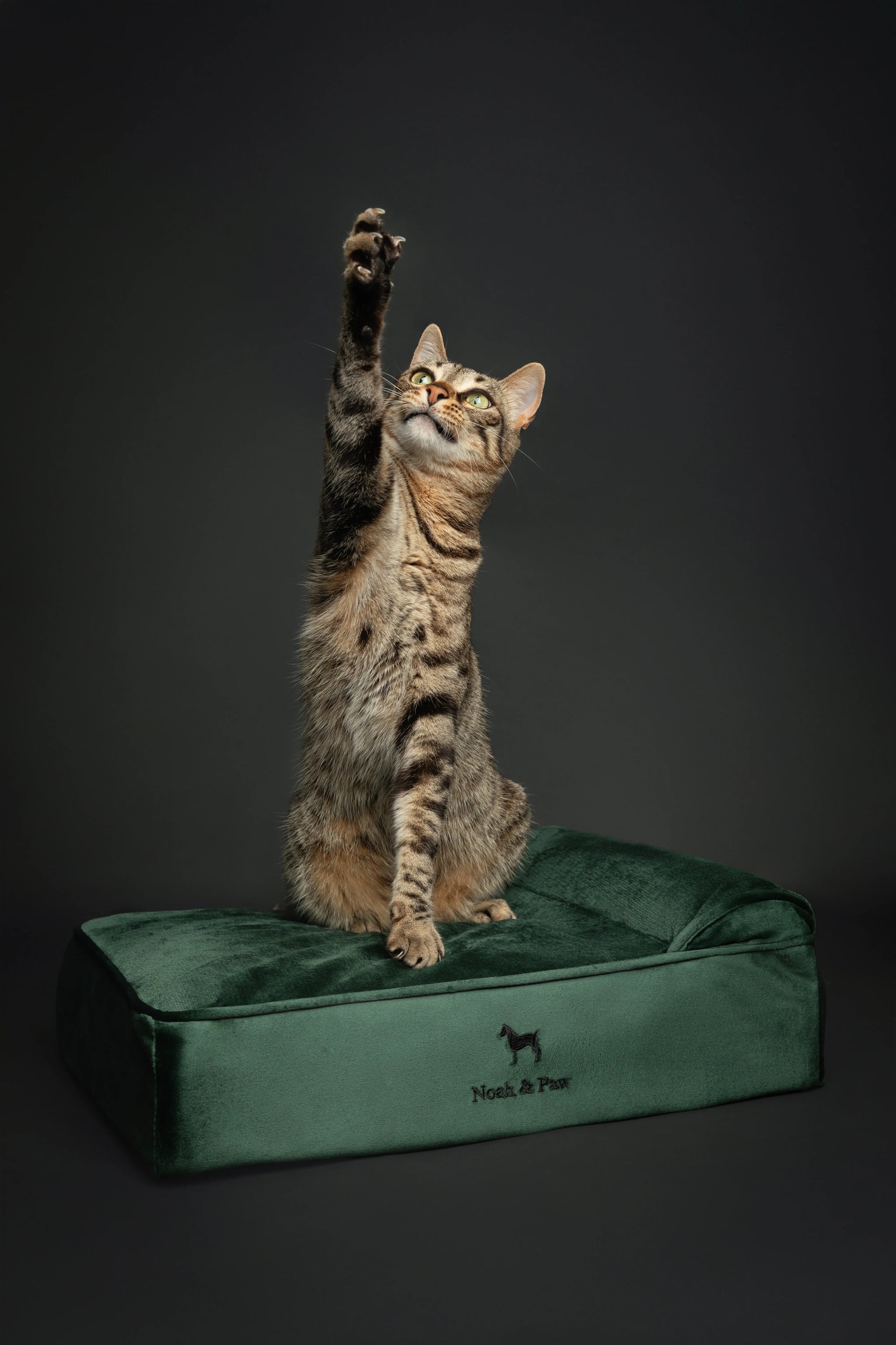 Velvet Orthopedic Pet Bed, Memory Foam, Infused with Cooling Gel - Classic