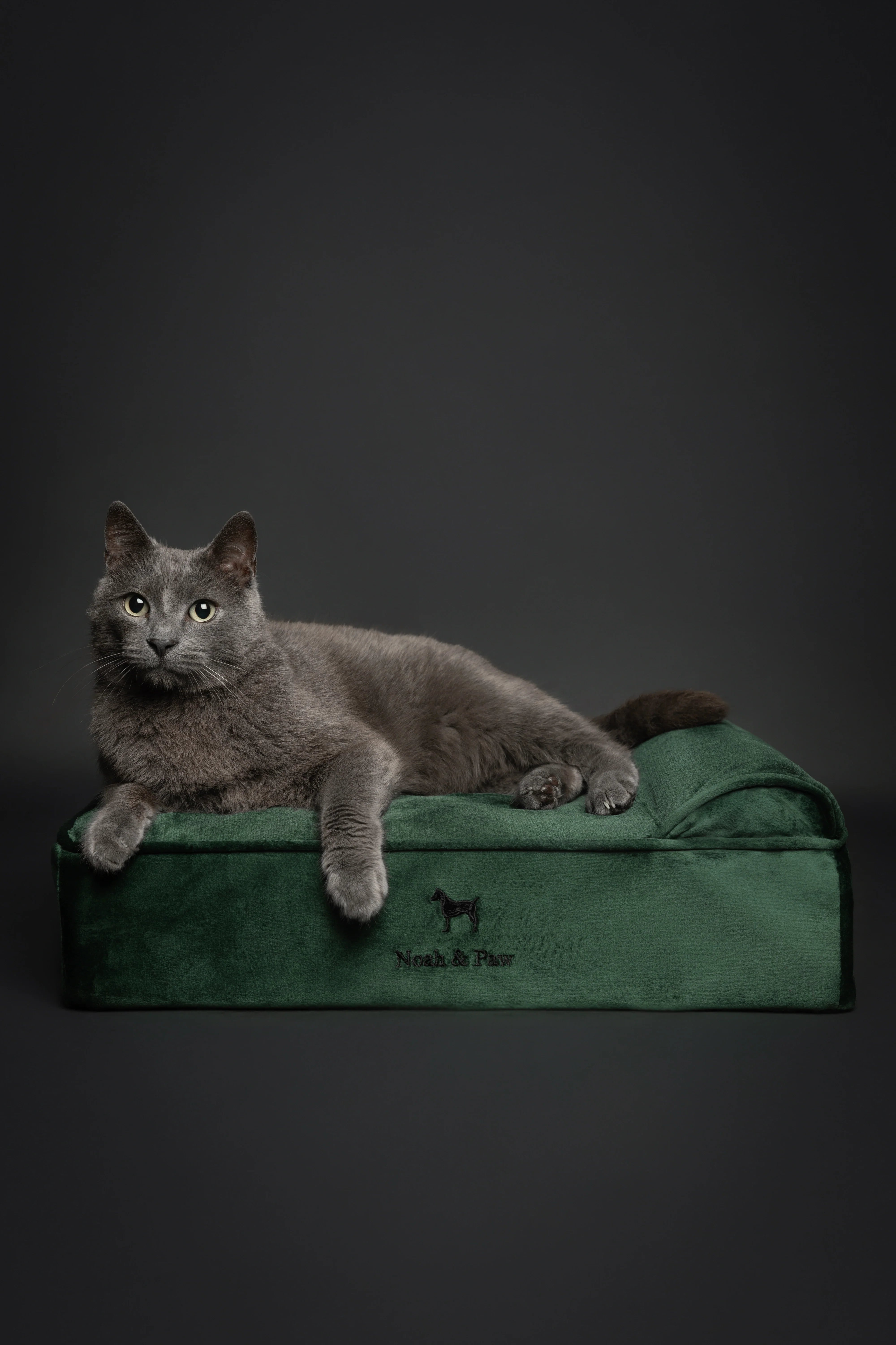Velvet Orthopedic Pet Bed, Memory Foam, Infused with Cooling Gel - Classic