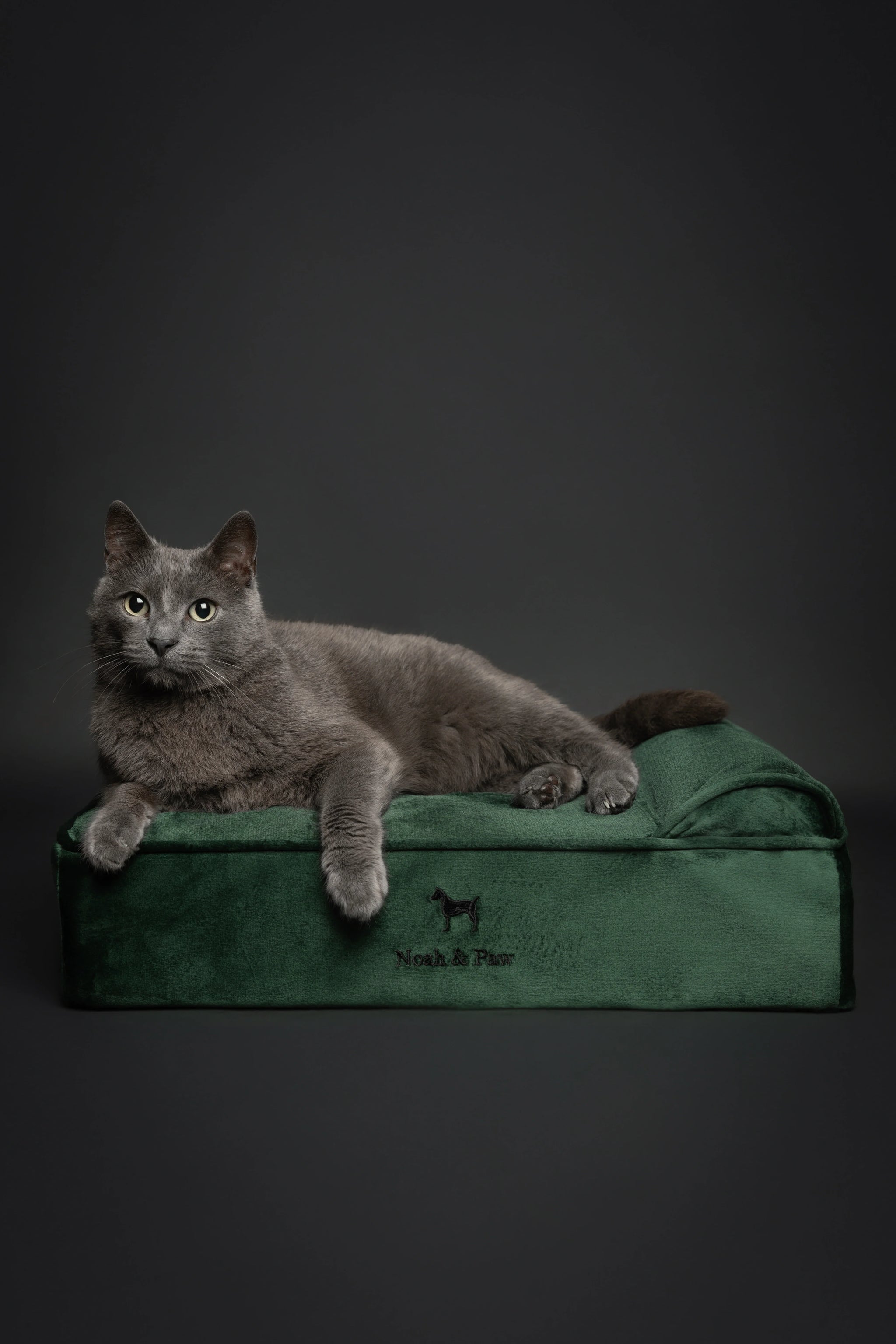 Velvet Orthopedic Pet Bed, Memory Foam, Infused with Cooling Gel - Classic