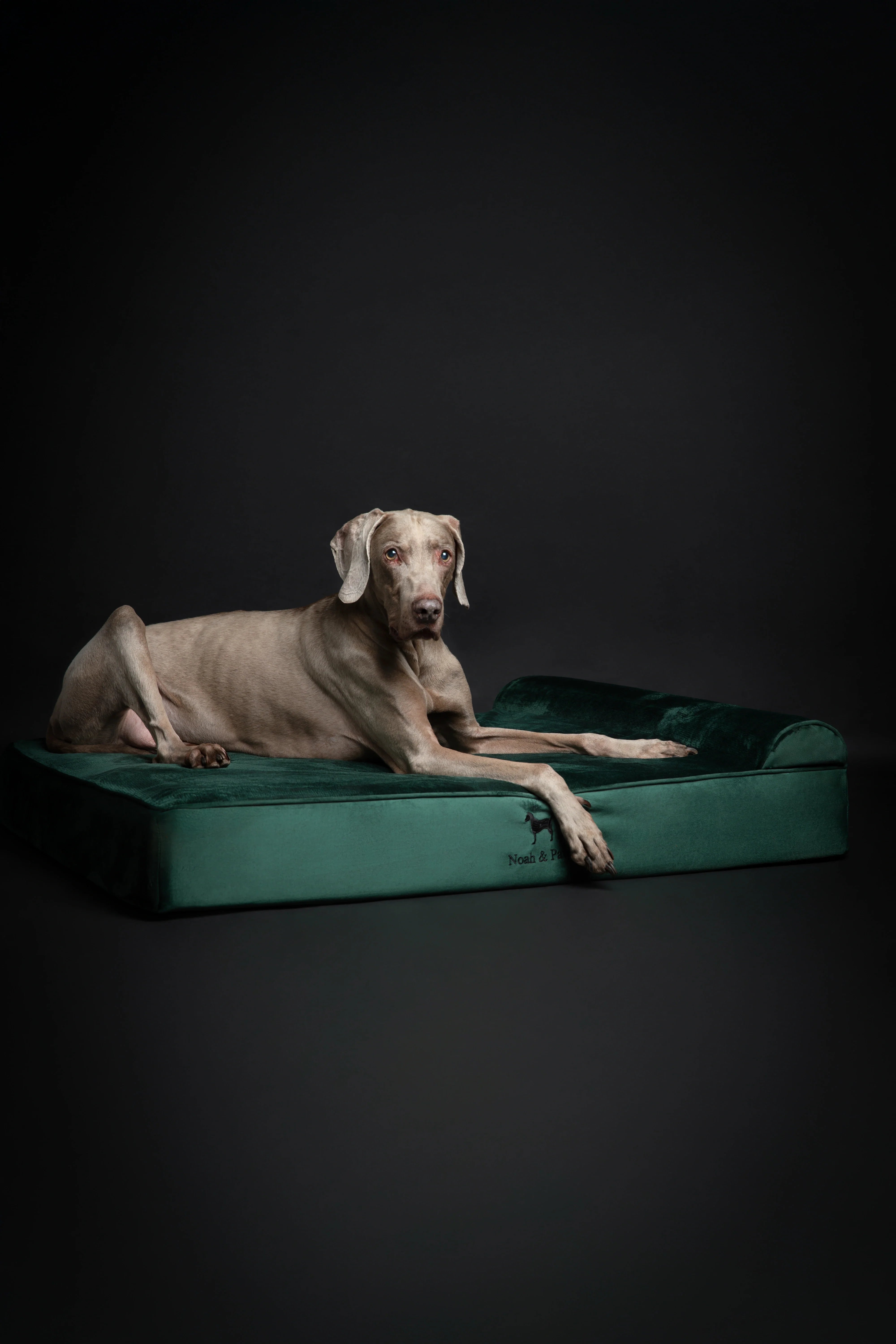 Velvet Orthopedic Pet Bed, Memory Foam, Infused with Cooling Gel - Classic