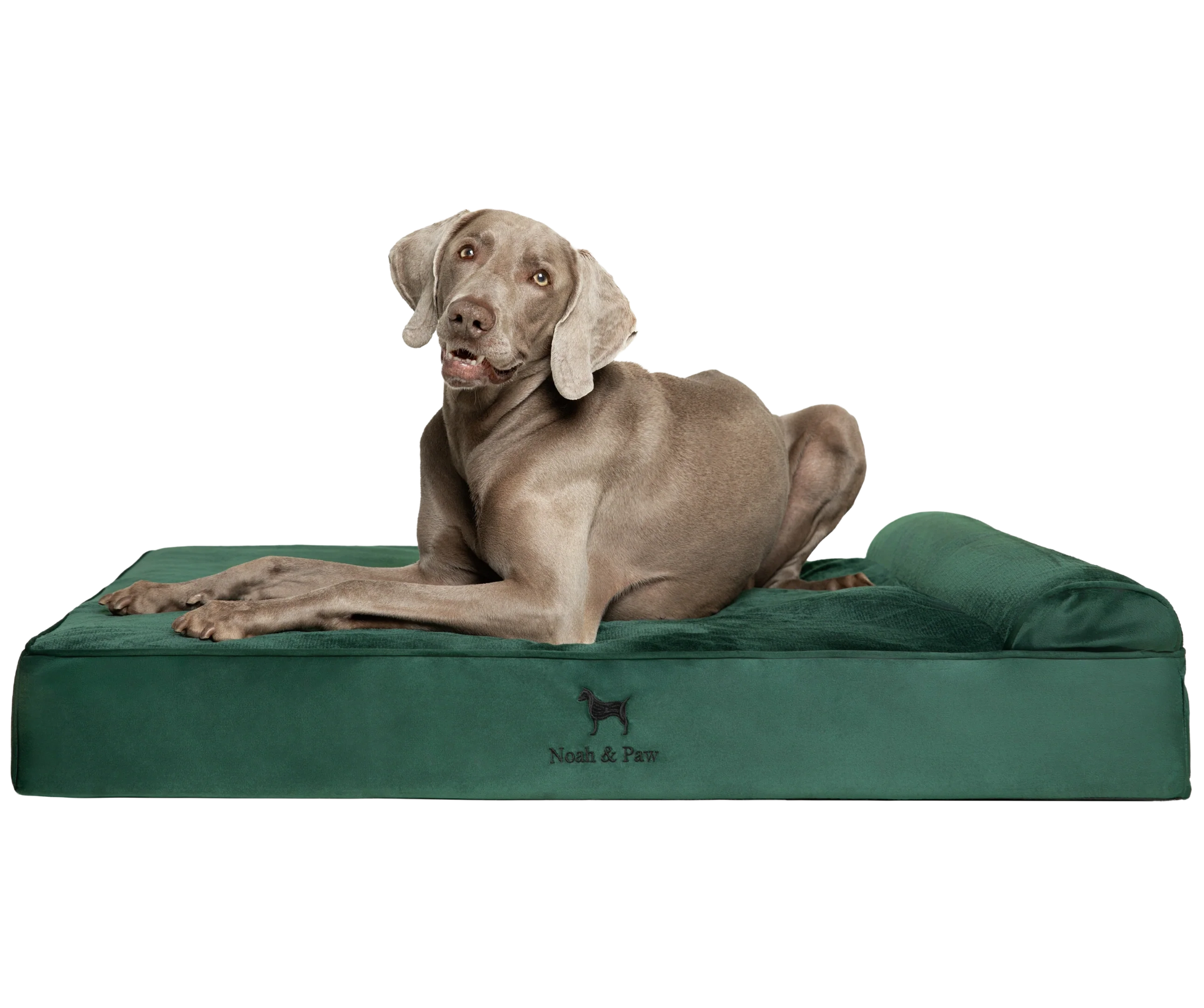 Velvet, Orthopedic Pet Bed, Classic Style - Dark Green - XL