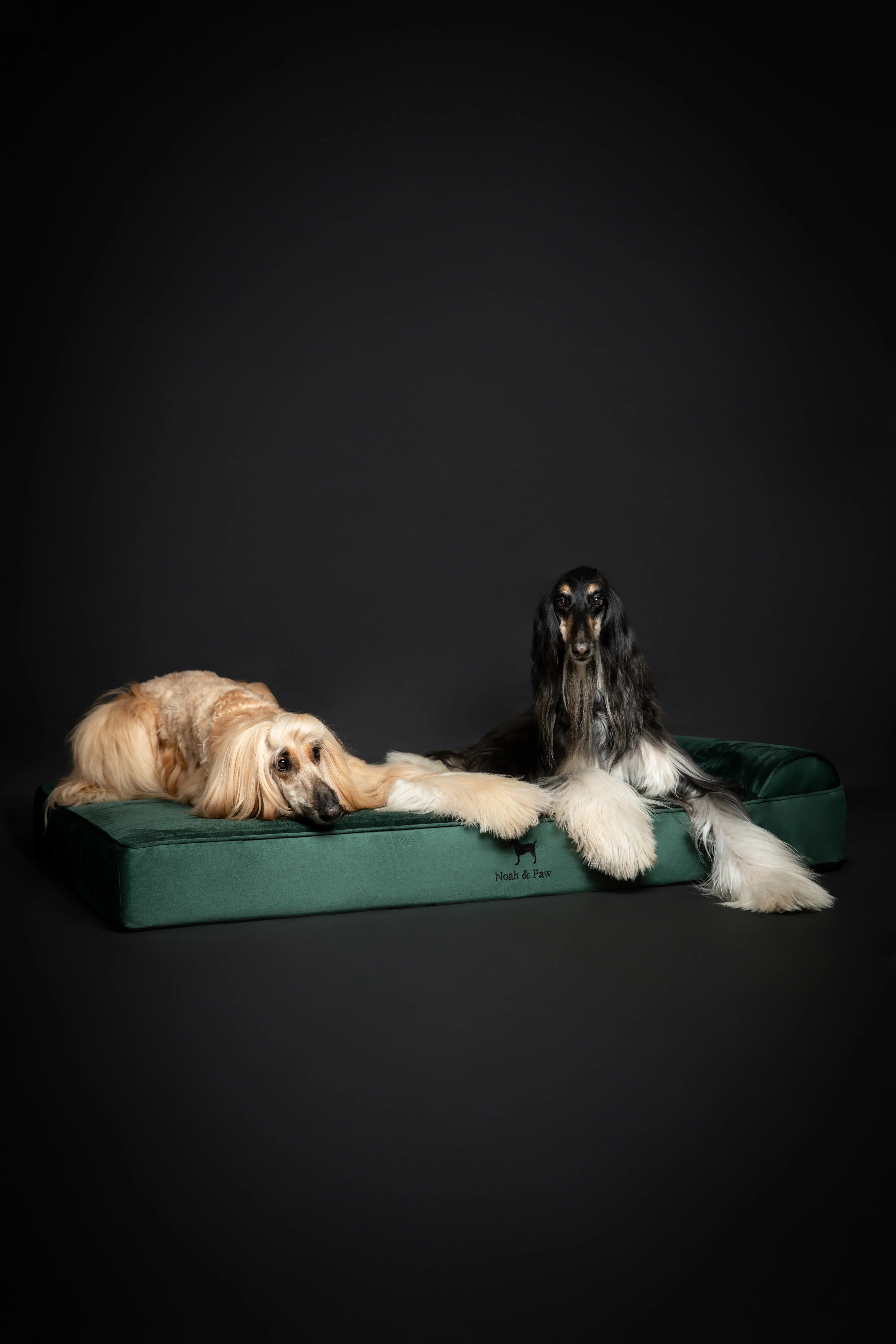 Velvet Orthopedic Pet Bed, Memory Foam, Infused with Cooling Gel - Classic