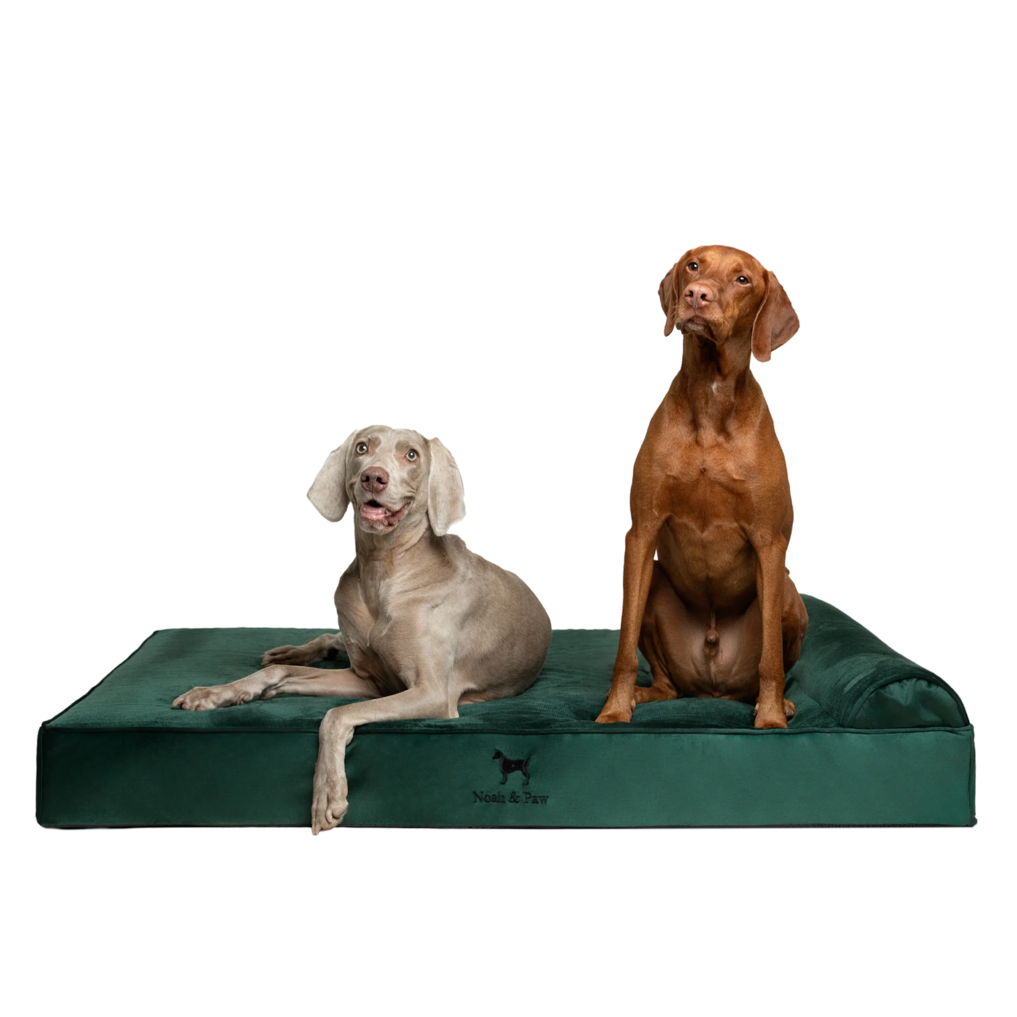 Velvet, Orthopedic Pet Bed, Classic Style - Dark Green - XXL